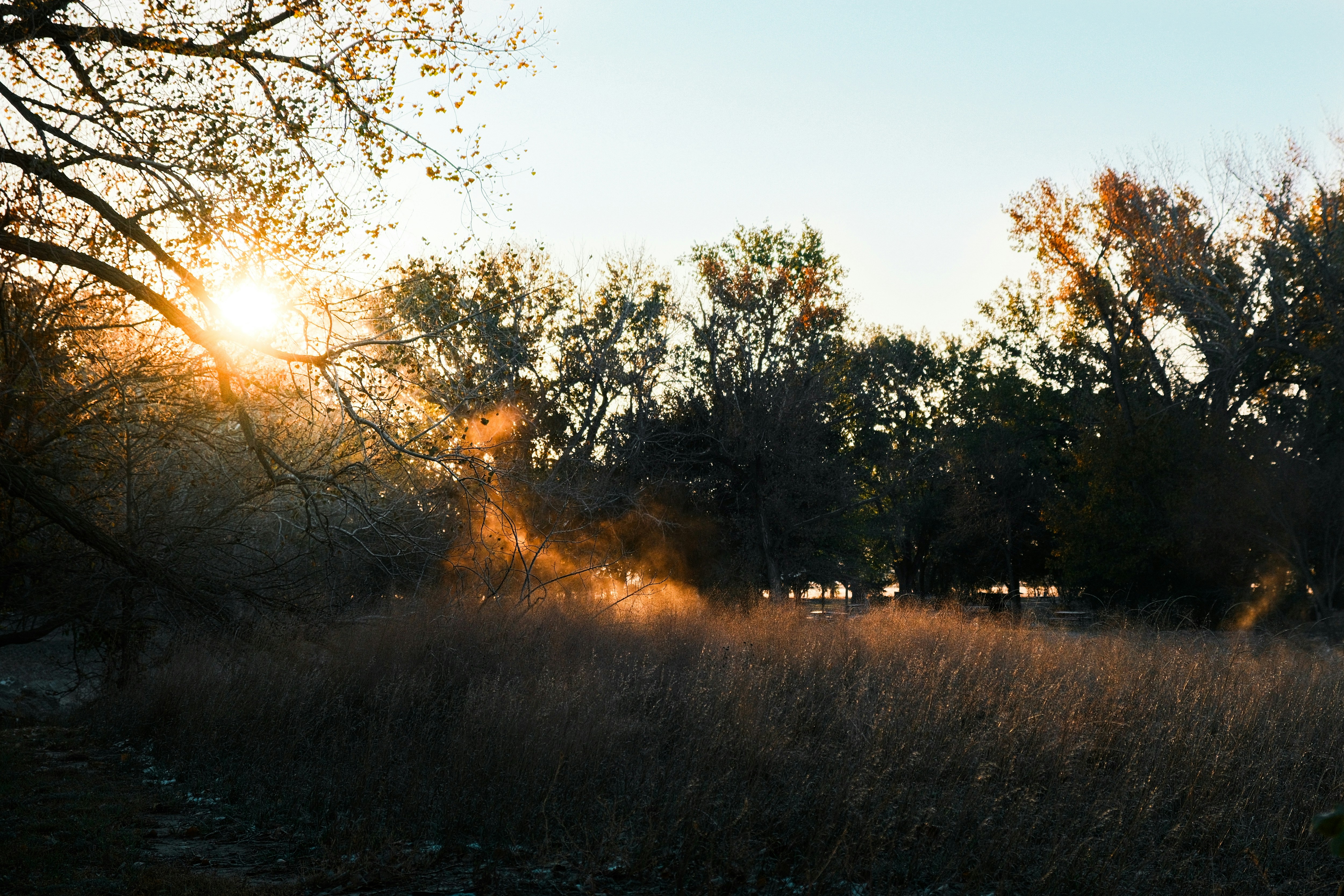 Photo by consoledotlog