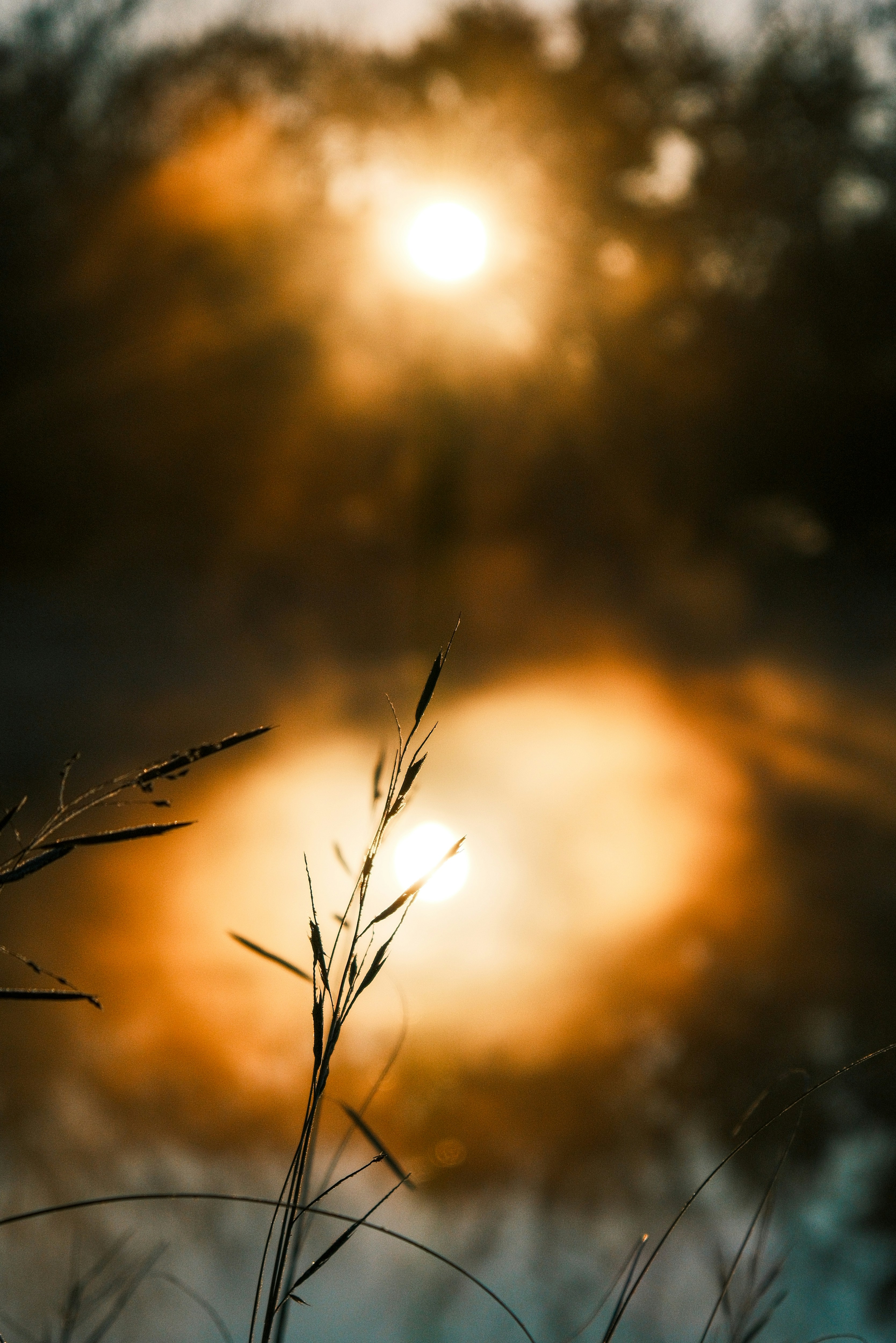 Photo by consoledotlog