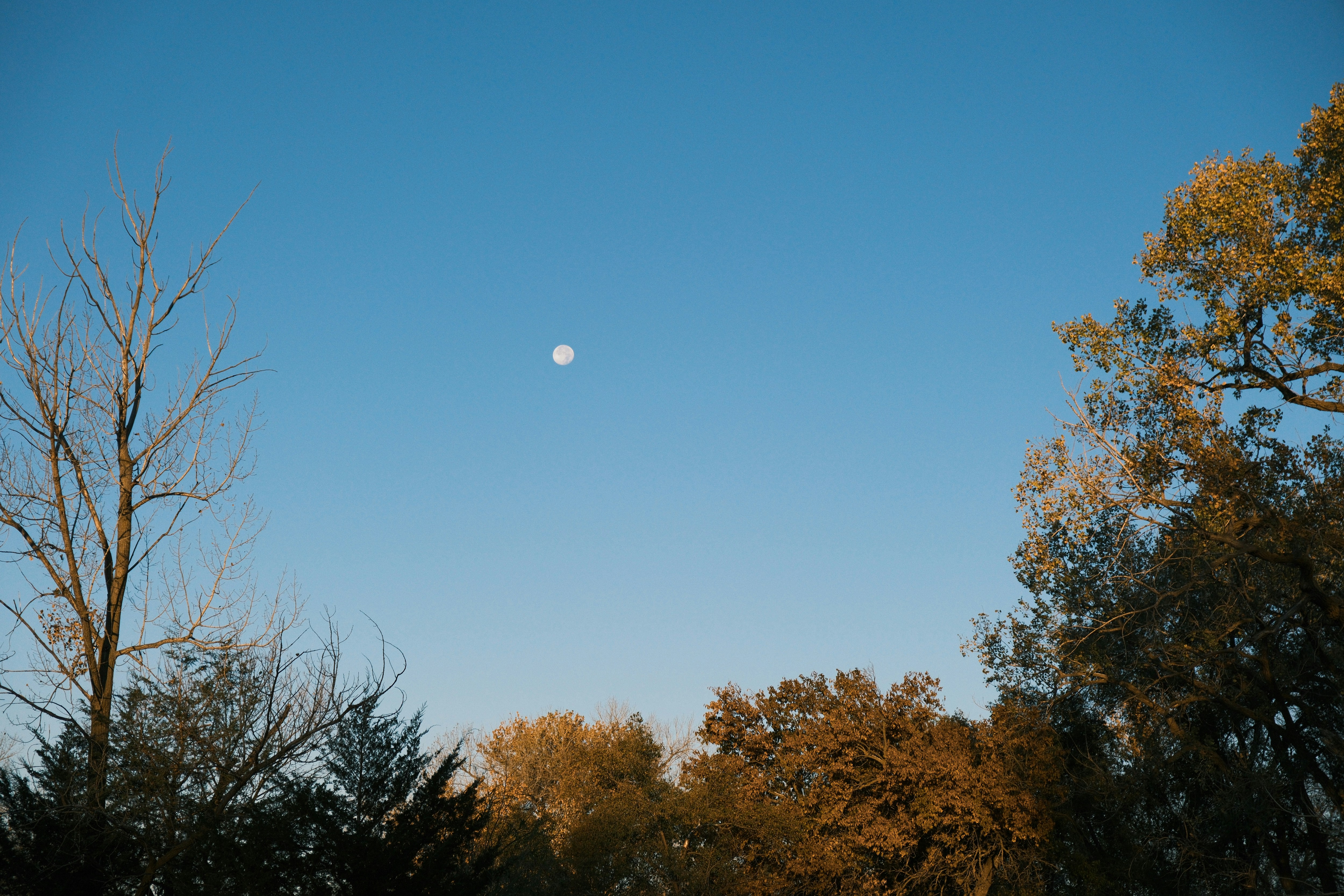 Photo by consoledotlog