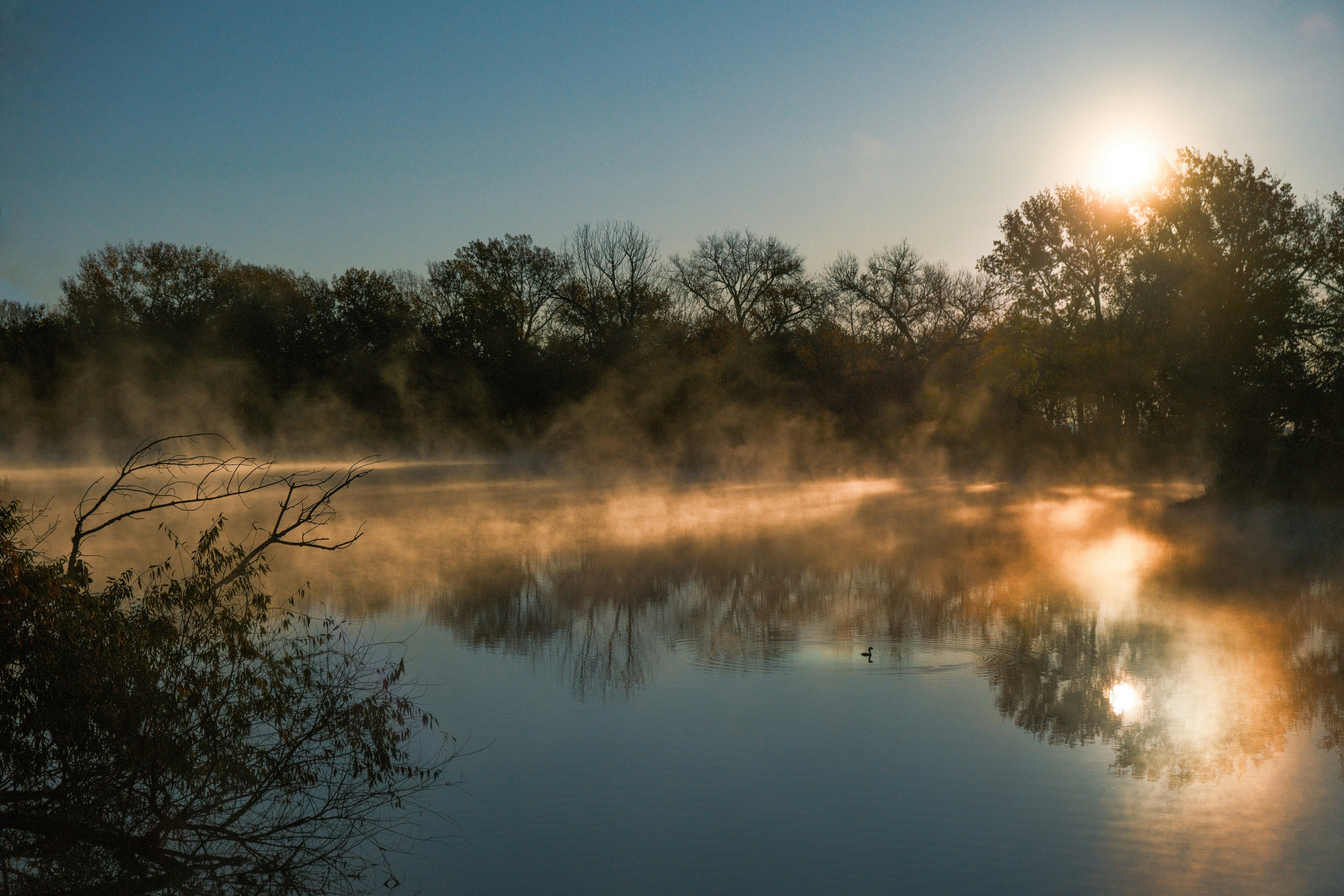 Photo by consoledotlog