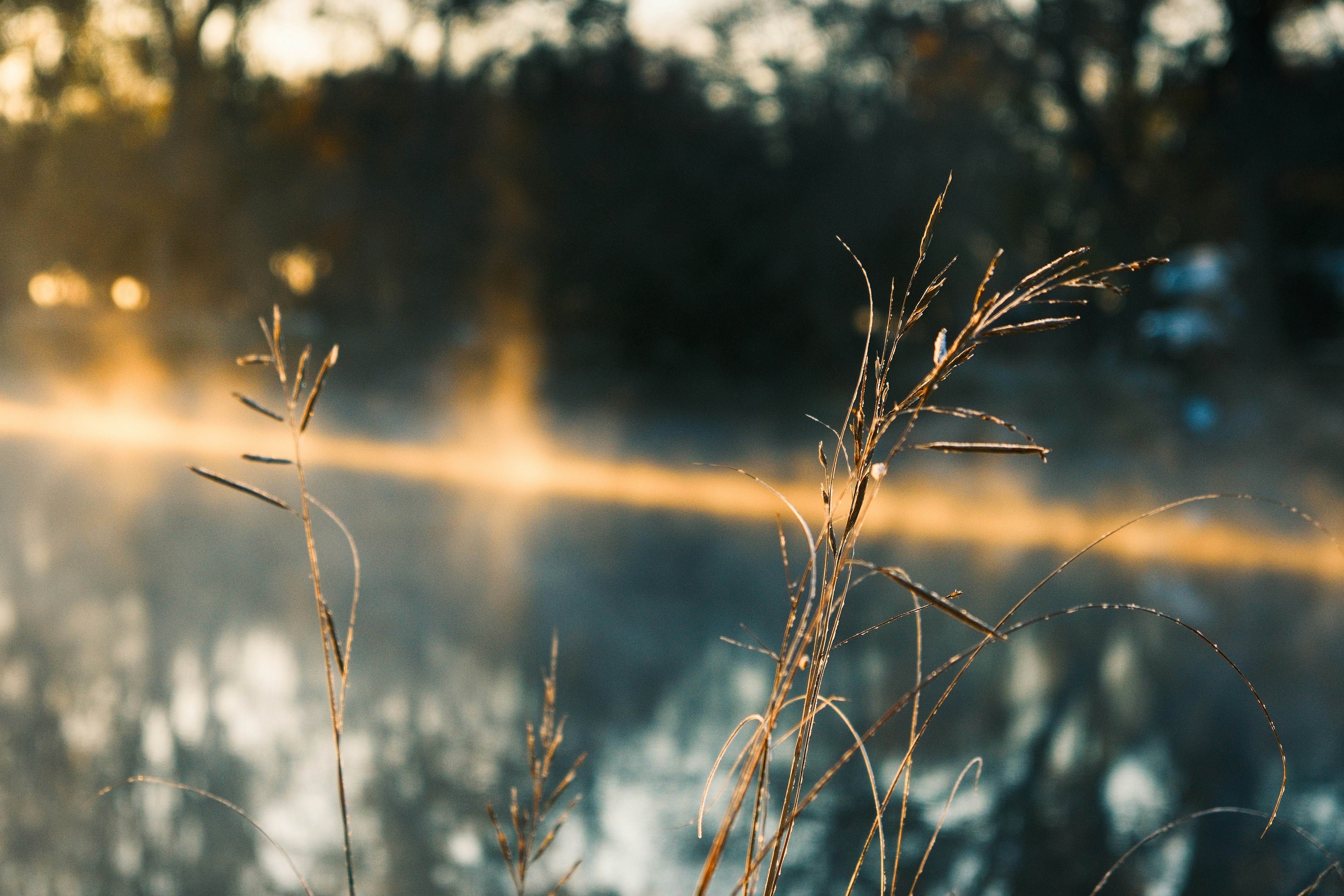 Photo by consoledotlog