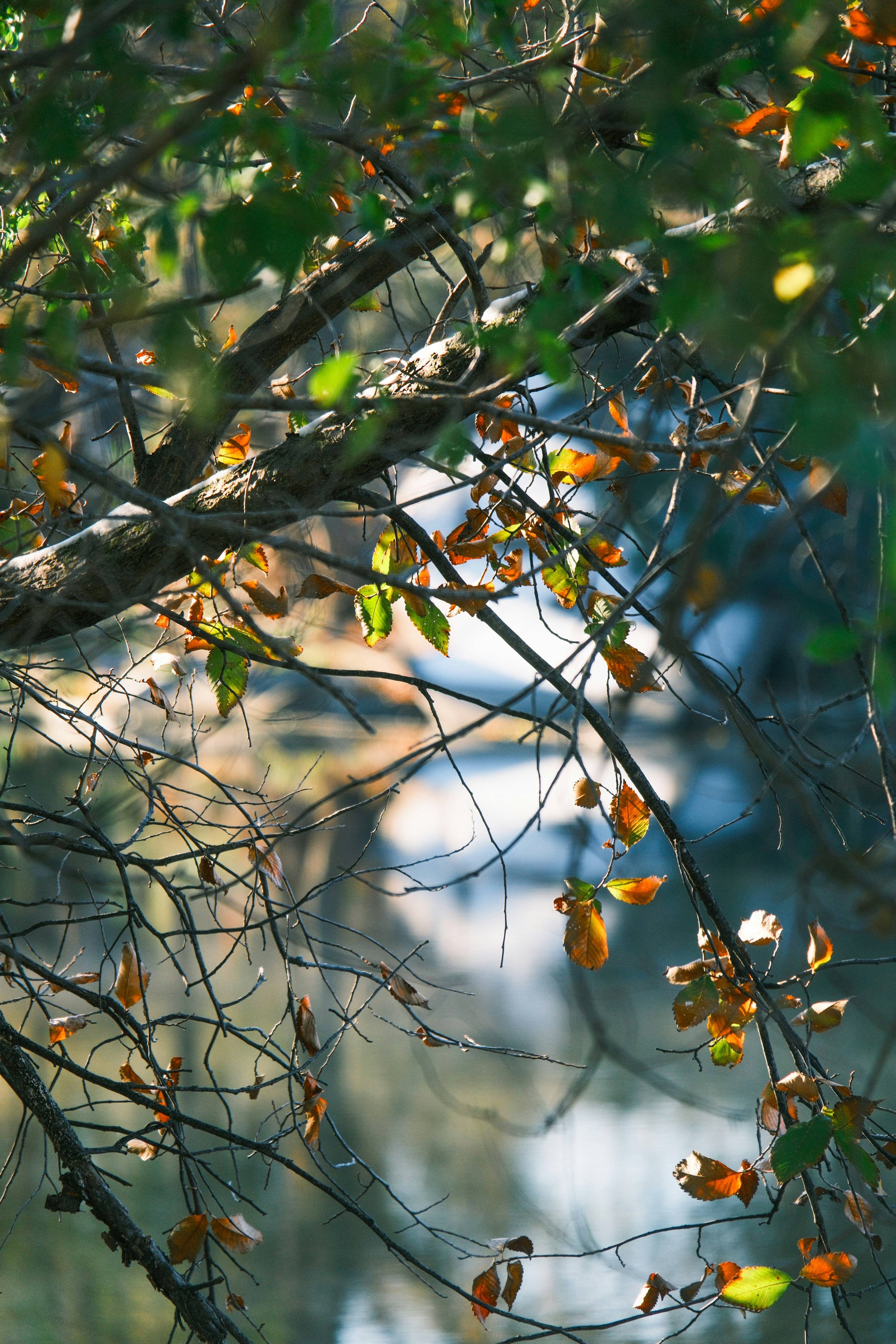 Photo by consoledotlog