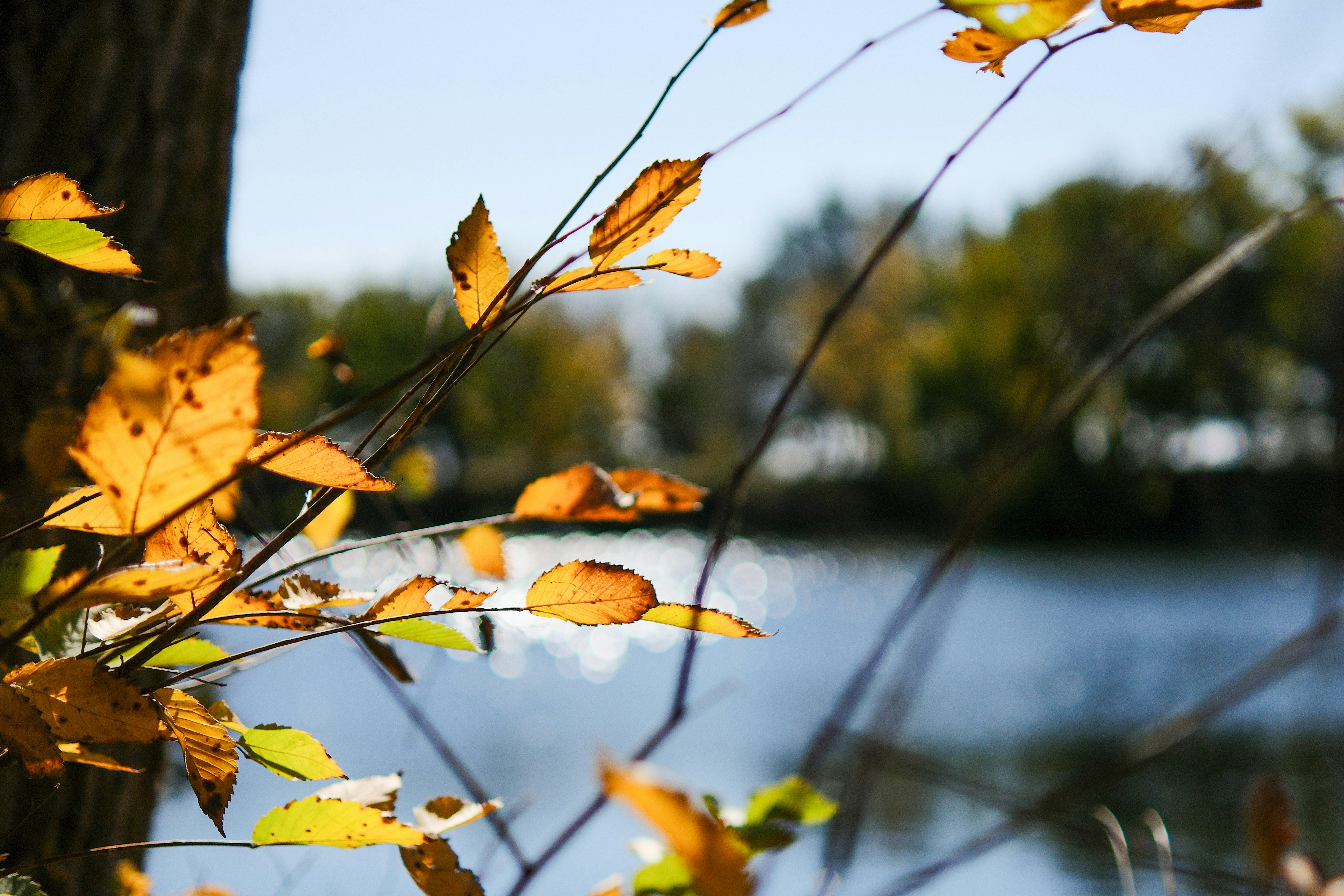 Photo by consoledotlog