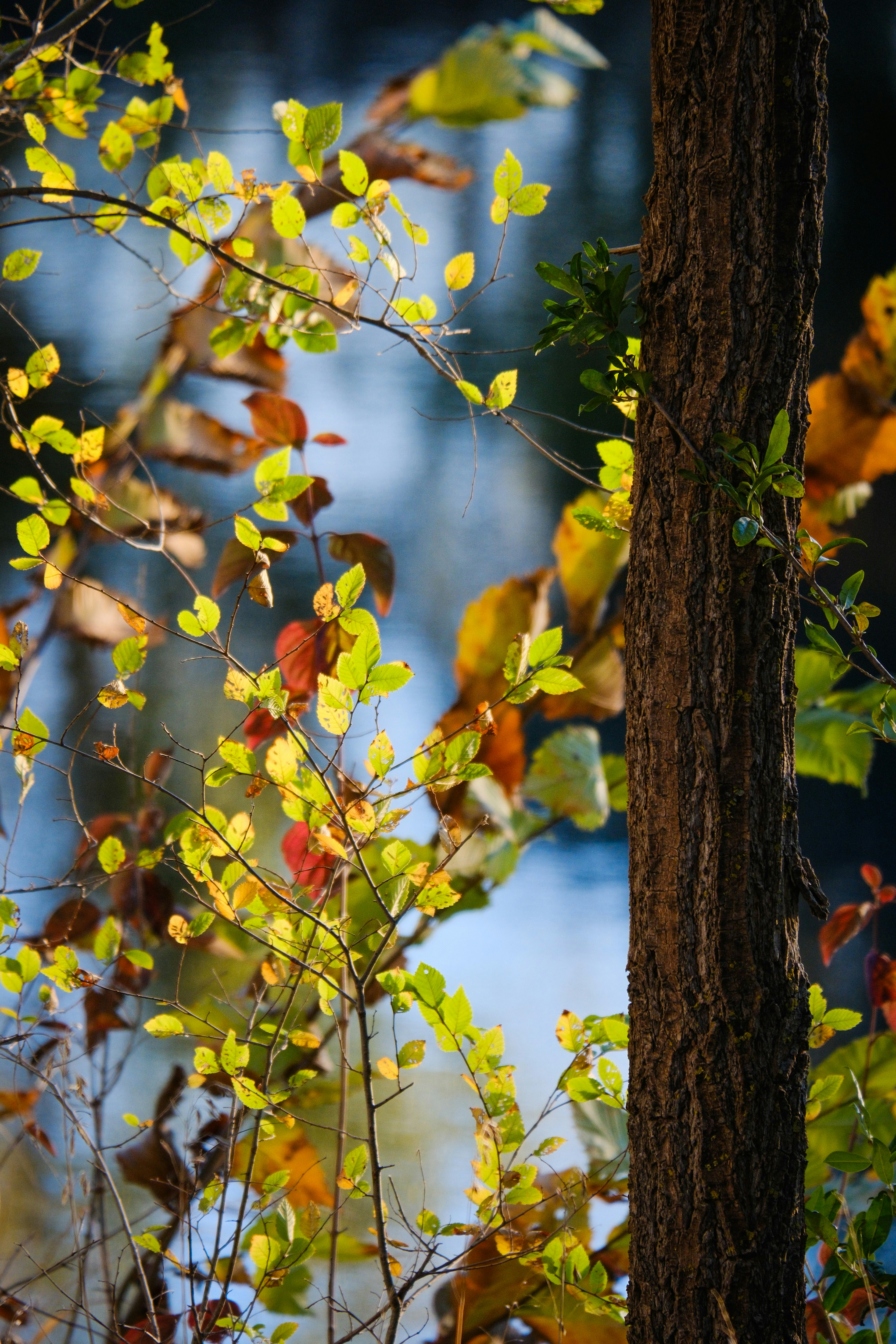 Photo by consoledotlog