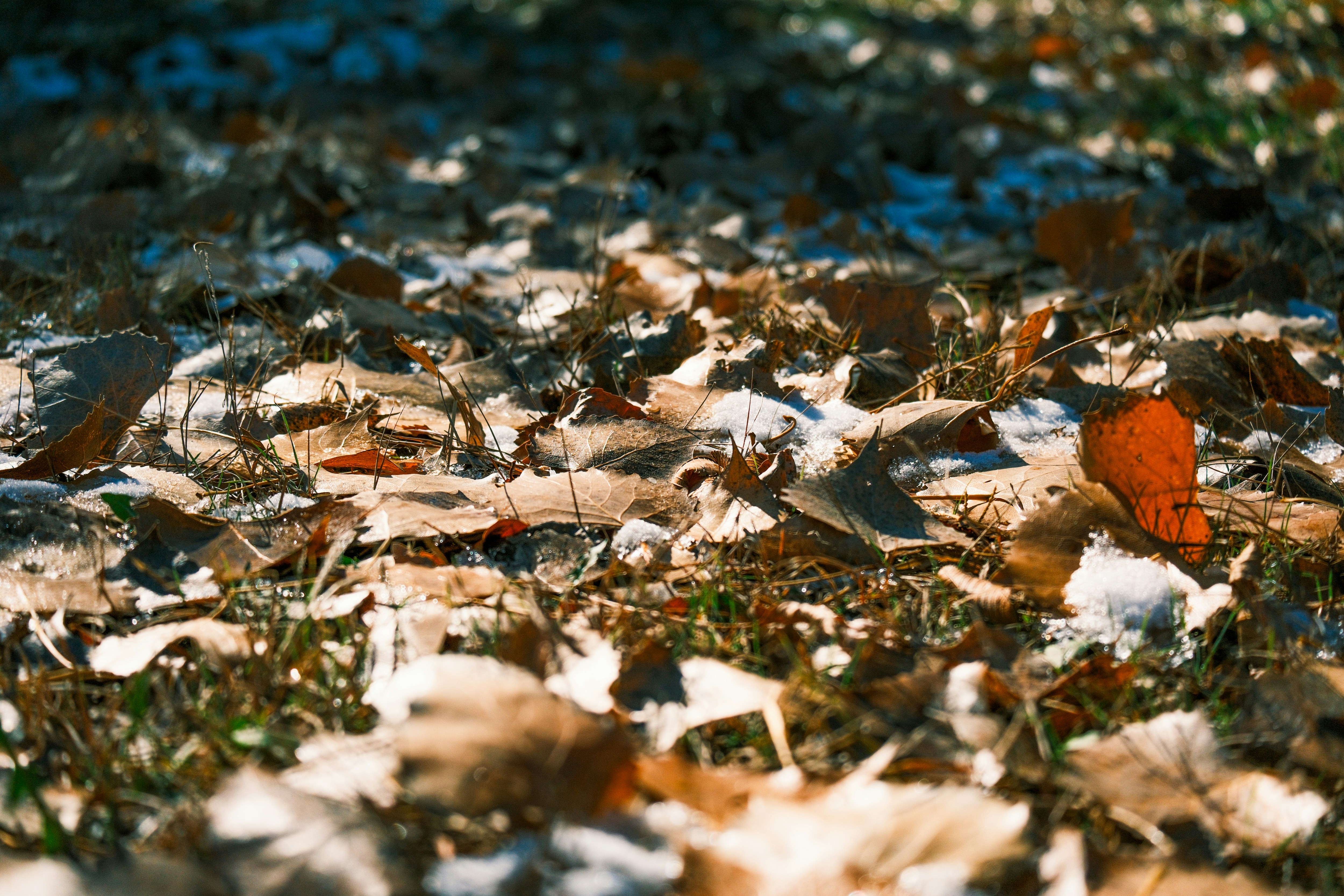 Photo by consoledotlog