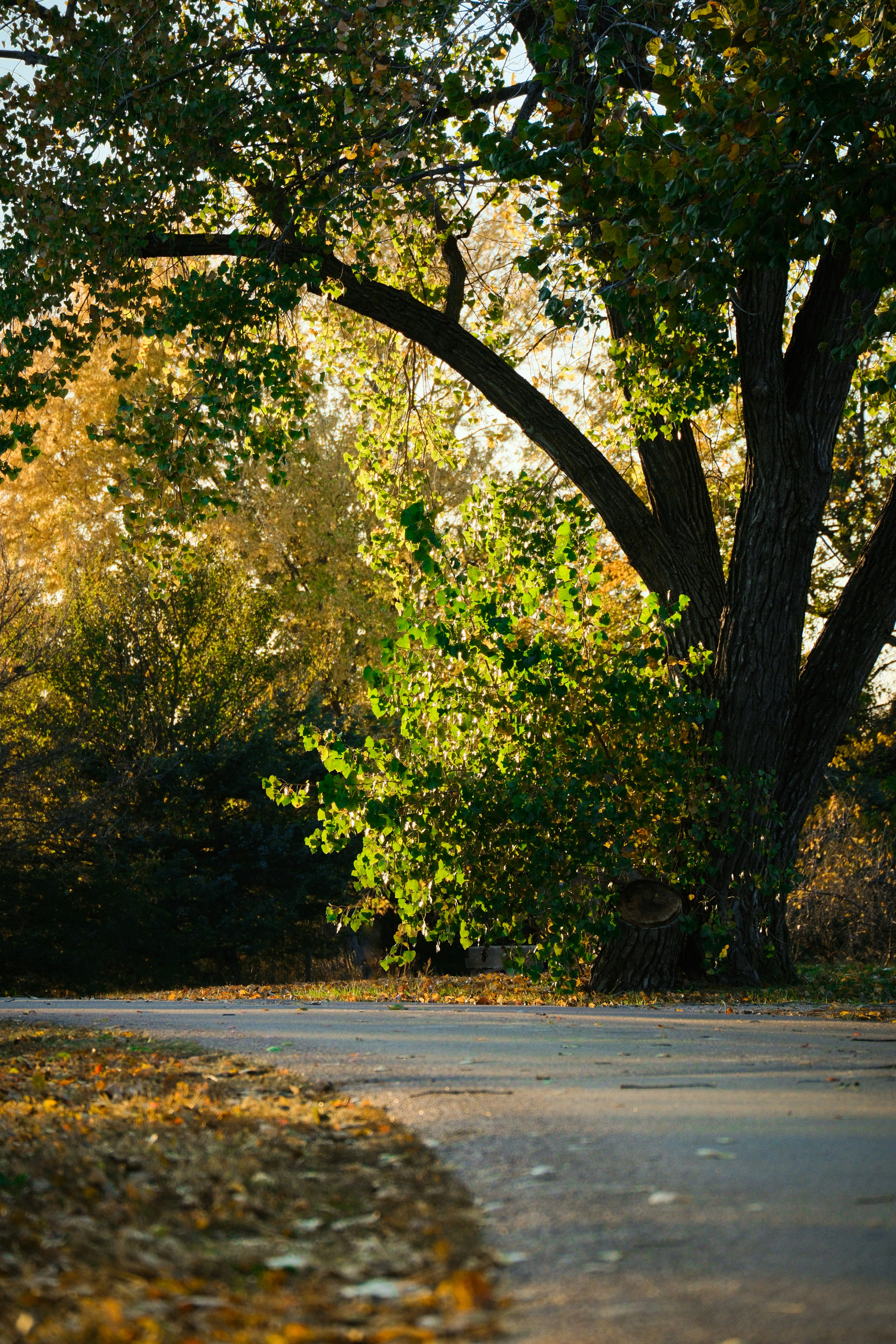 Photo by consoledotlog