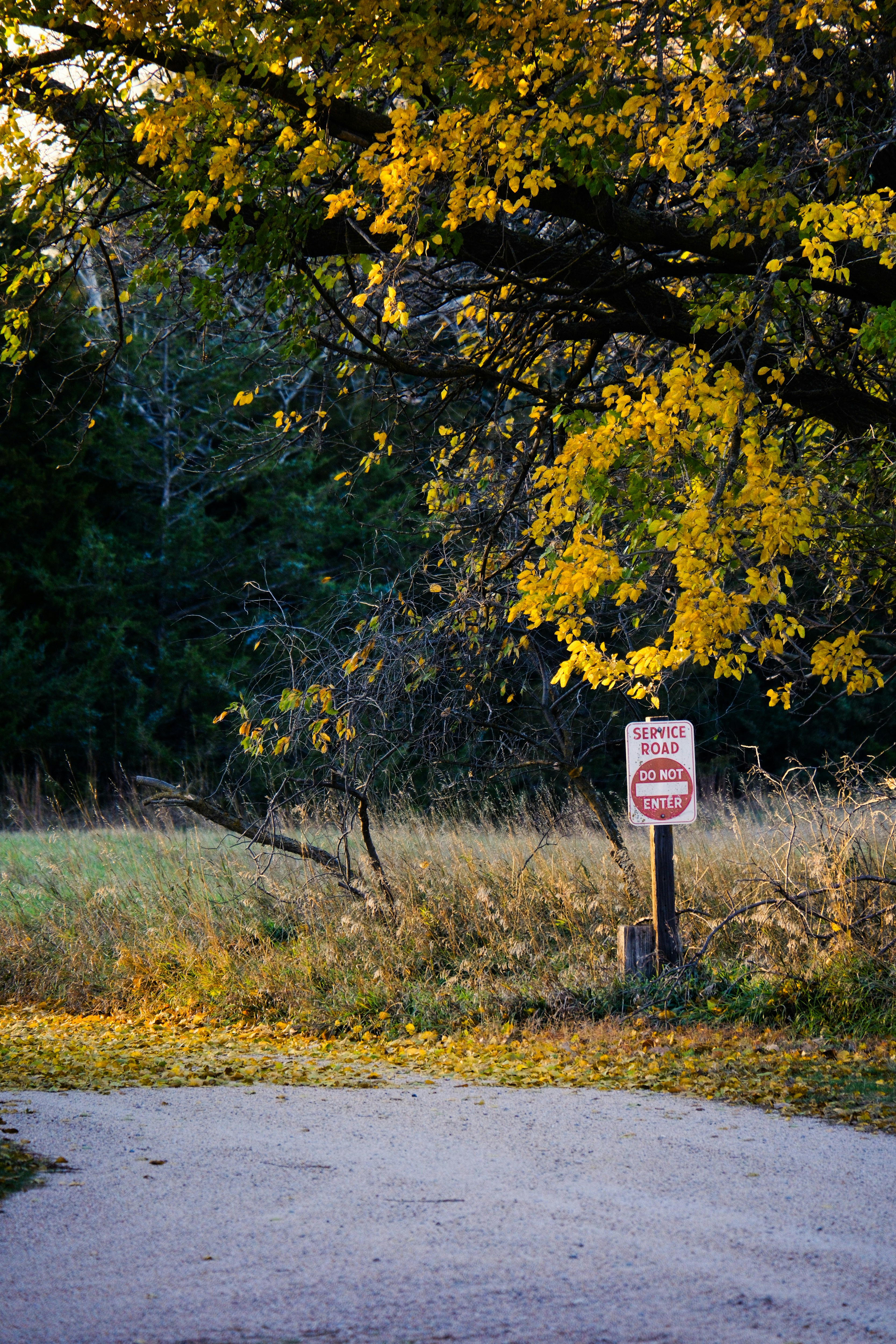 Photo by consoledotlog