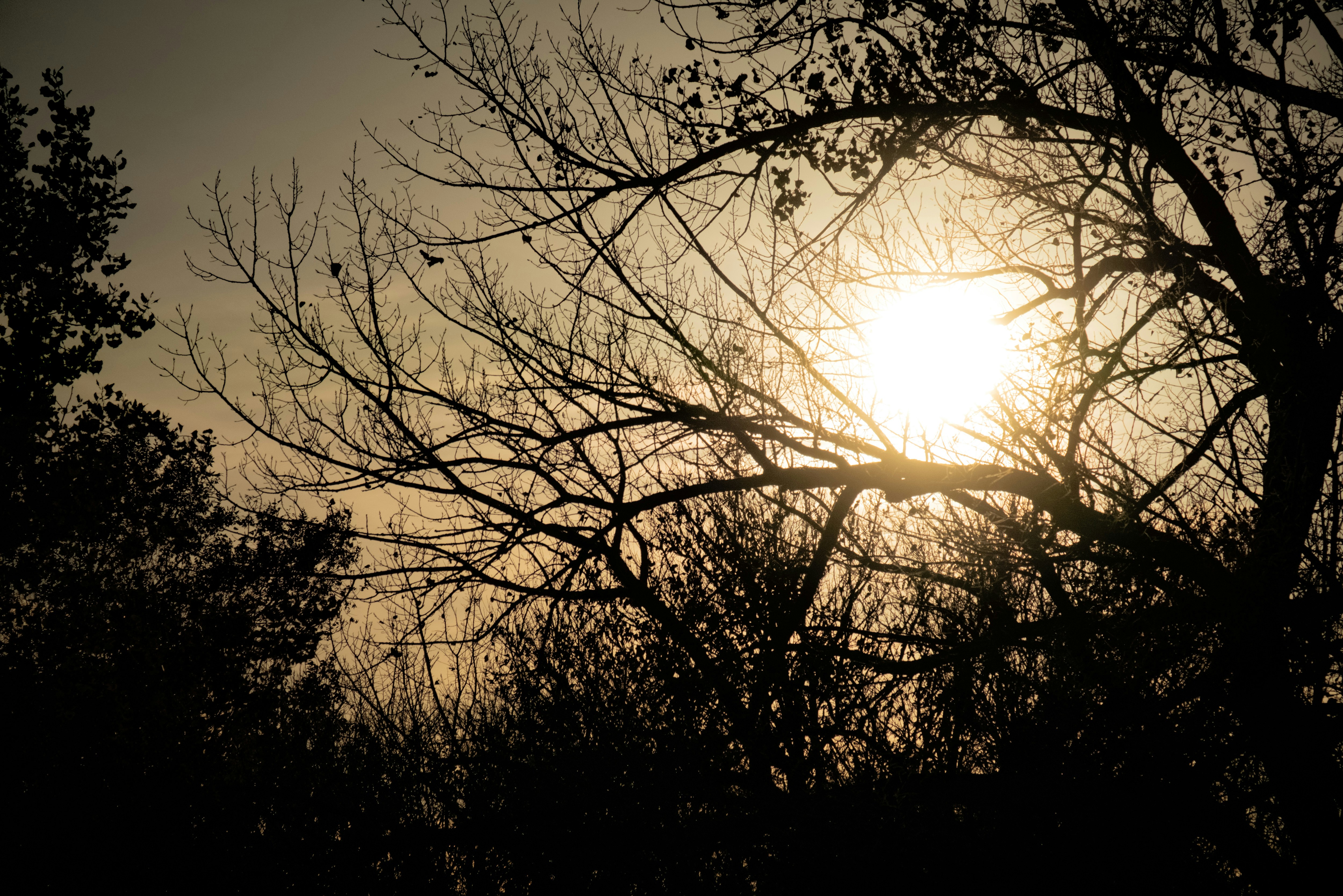 Photo by consoledotlog