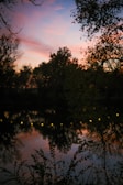 A sleek, dark-toned pond reflecting soft ambient lighting at dusk.