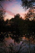 Evening shot of a pond with soft lighting and water reflections.