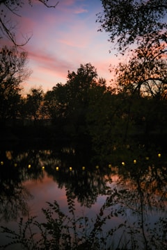 Evening shot of a pond with soft lighting and water reflections.