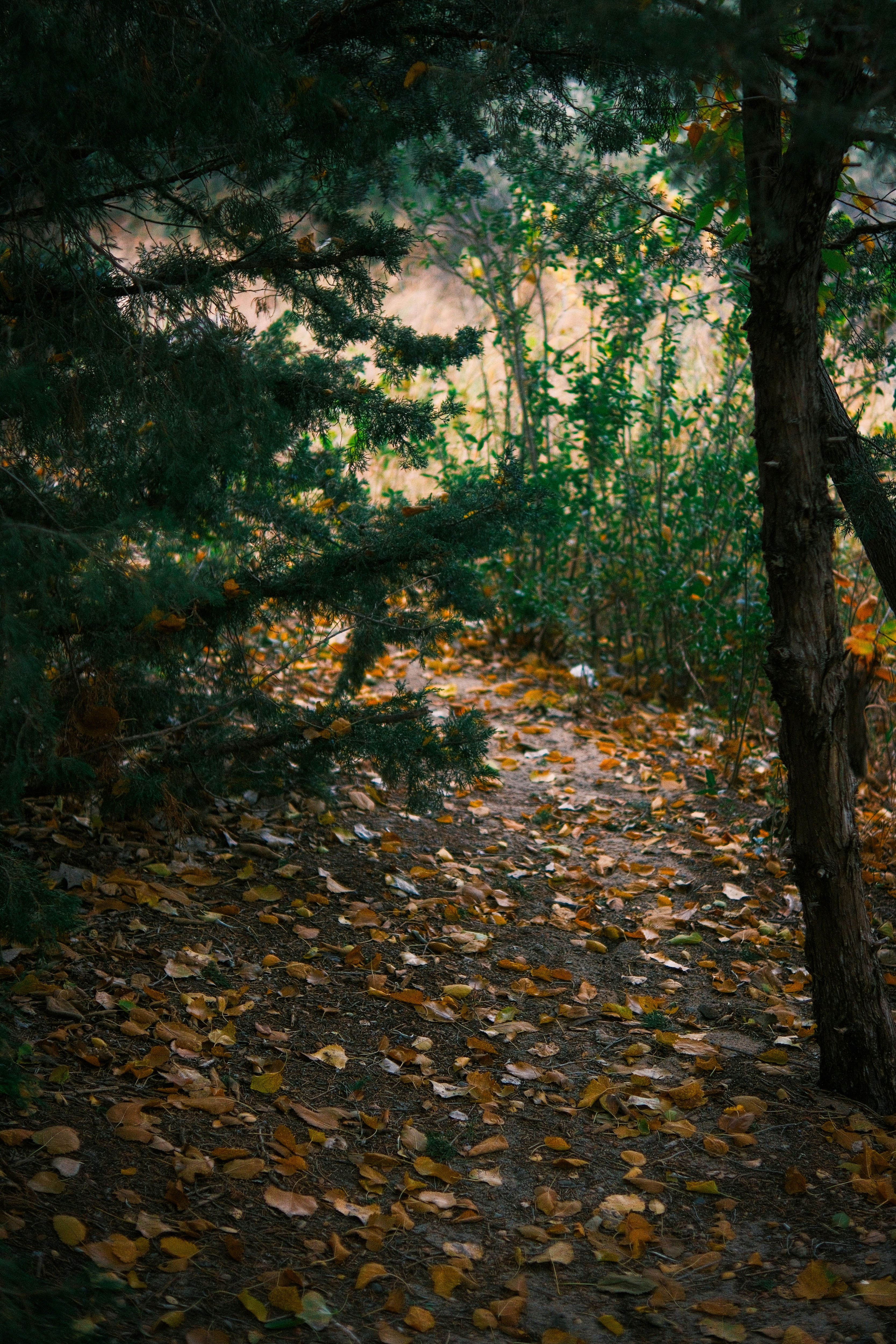 Photo by consoledotlog