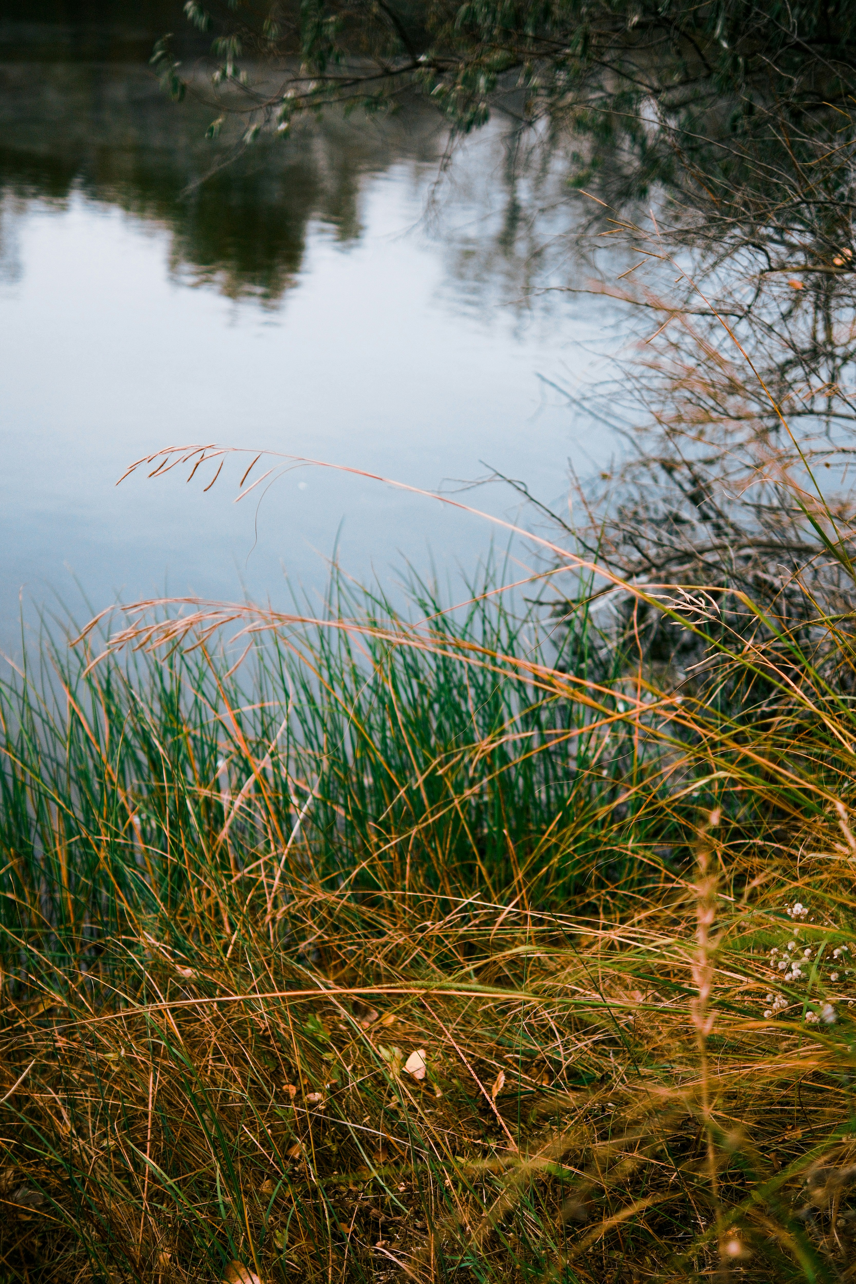 Photo by consoledotlog