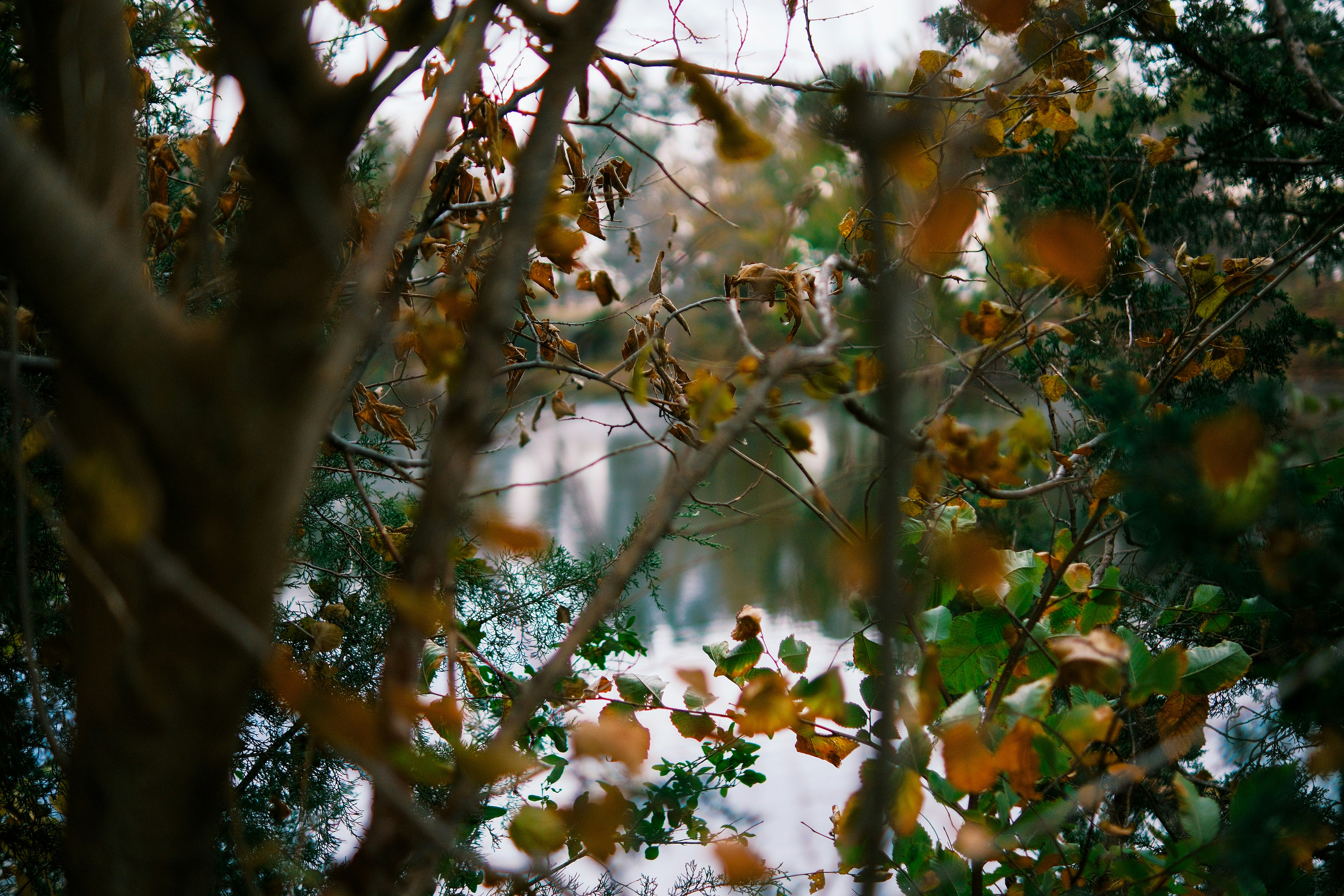 Photo by consoledotlog