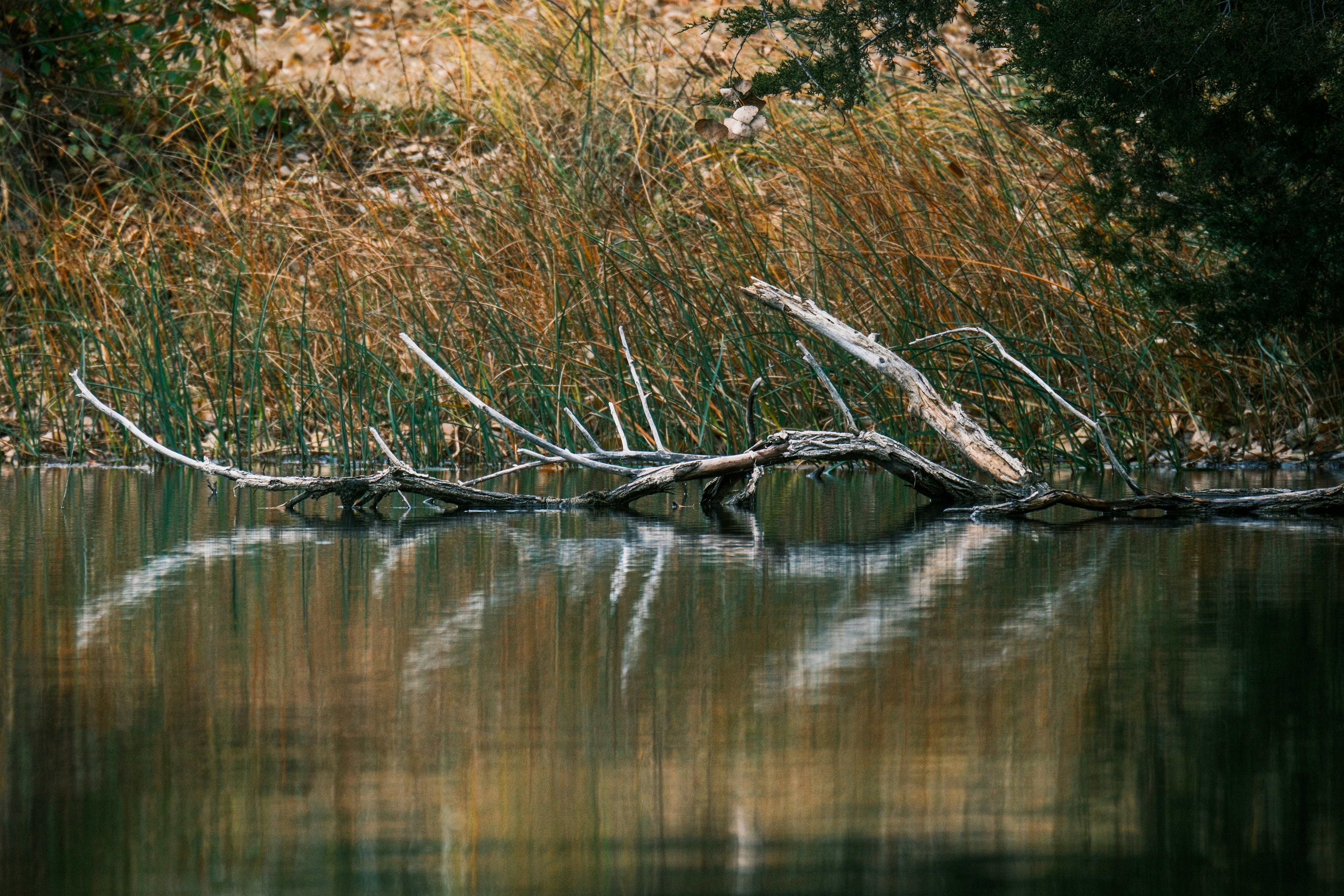 Photo by consoledotlog