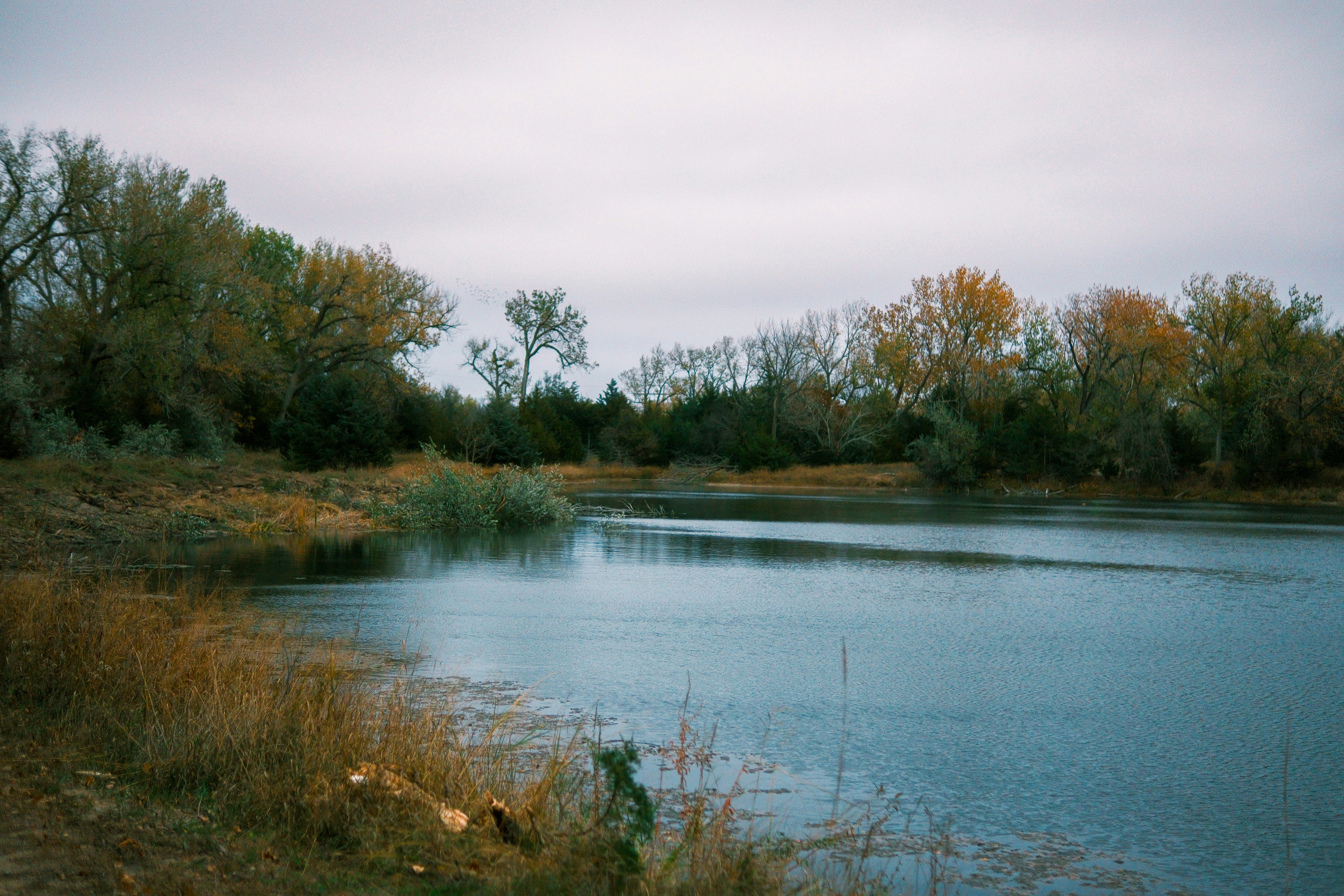 Photo by consoledotlog