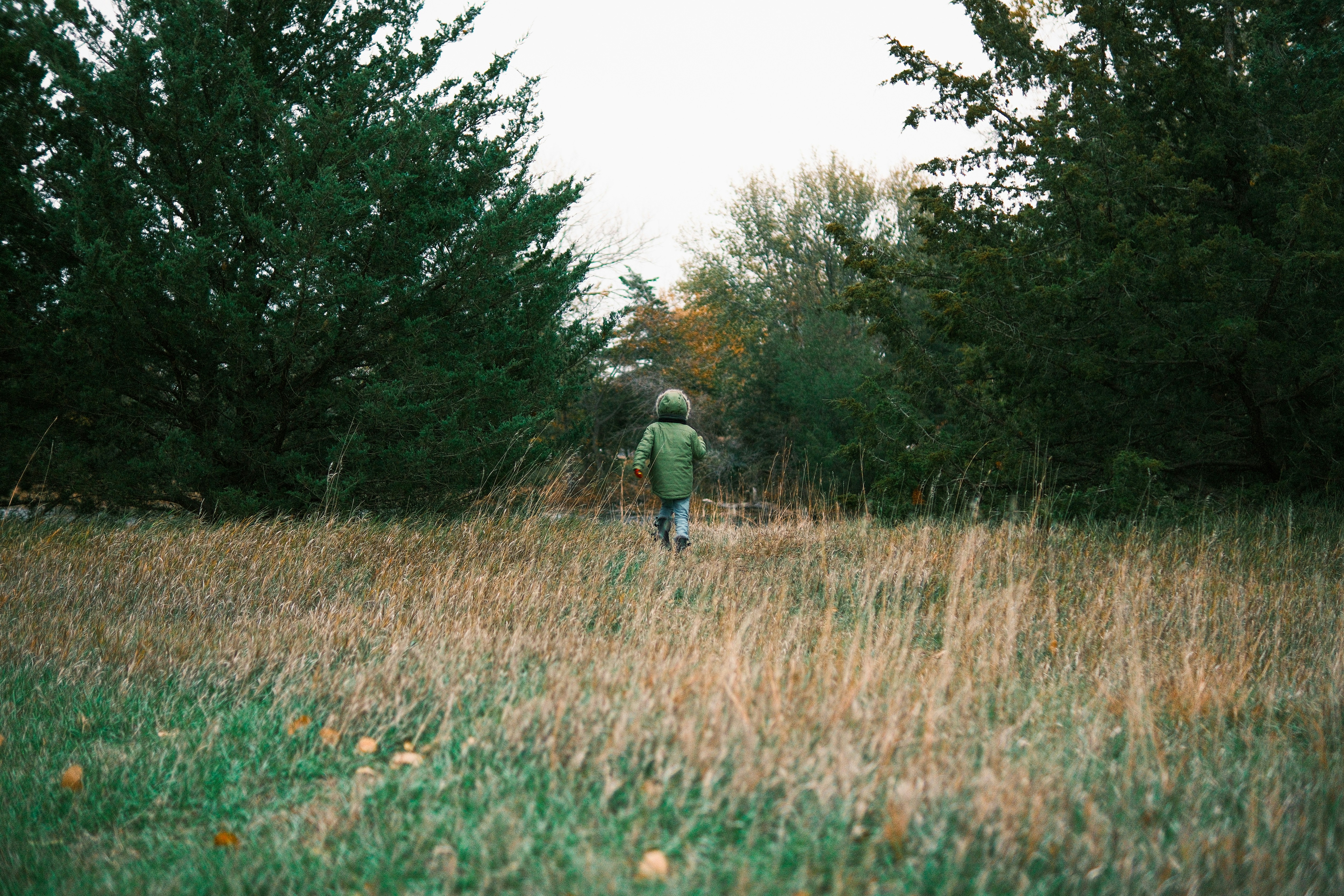 Photo by consoledotlog