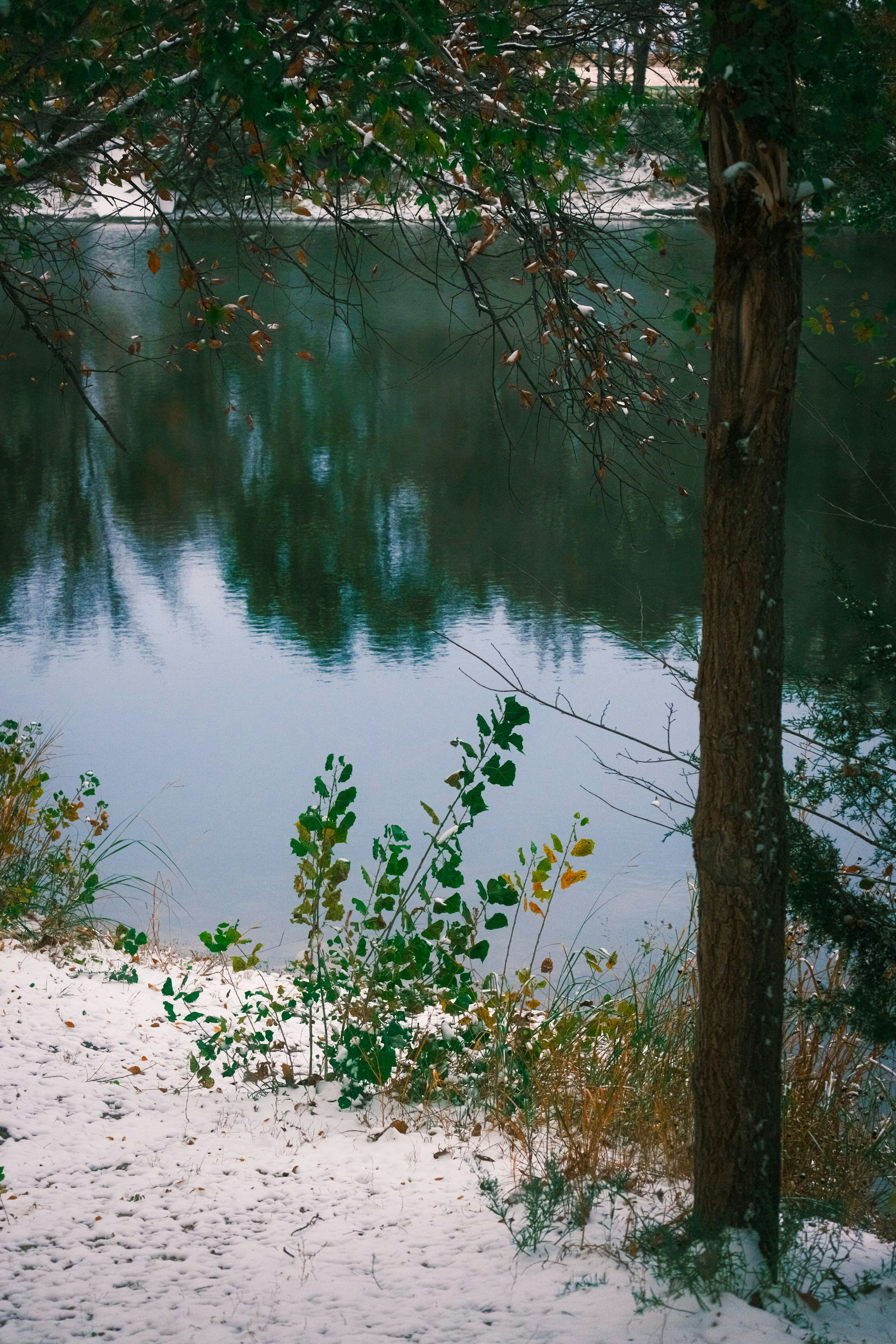 Photo by consoledotlog