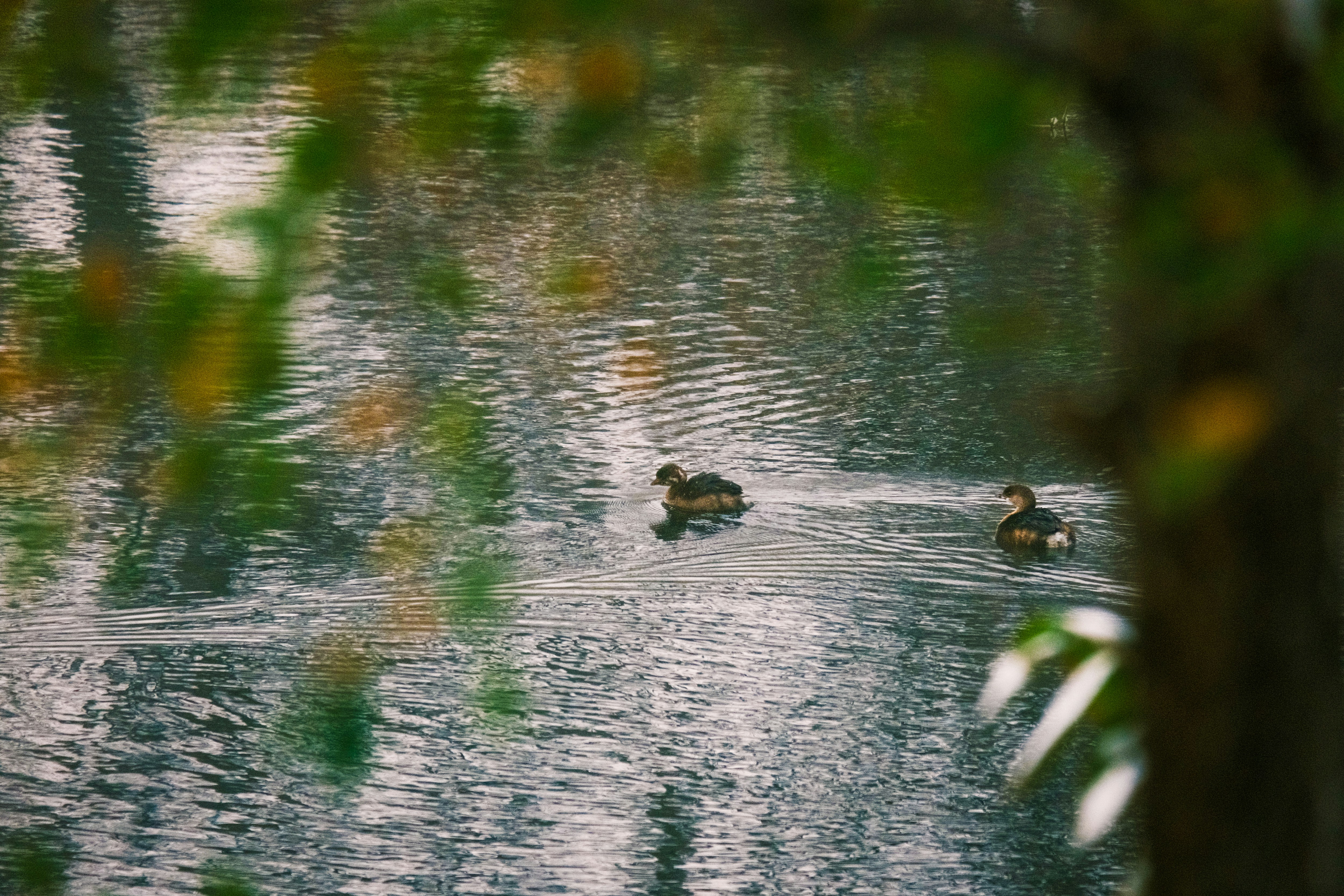 Photo by consoledotlog