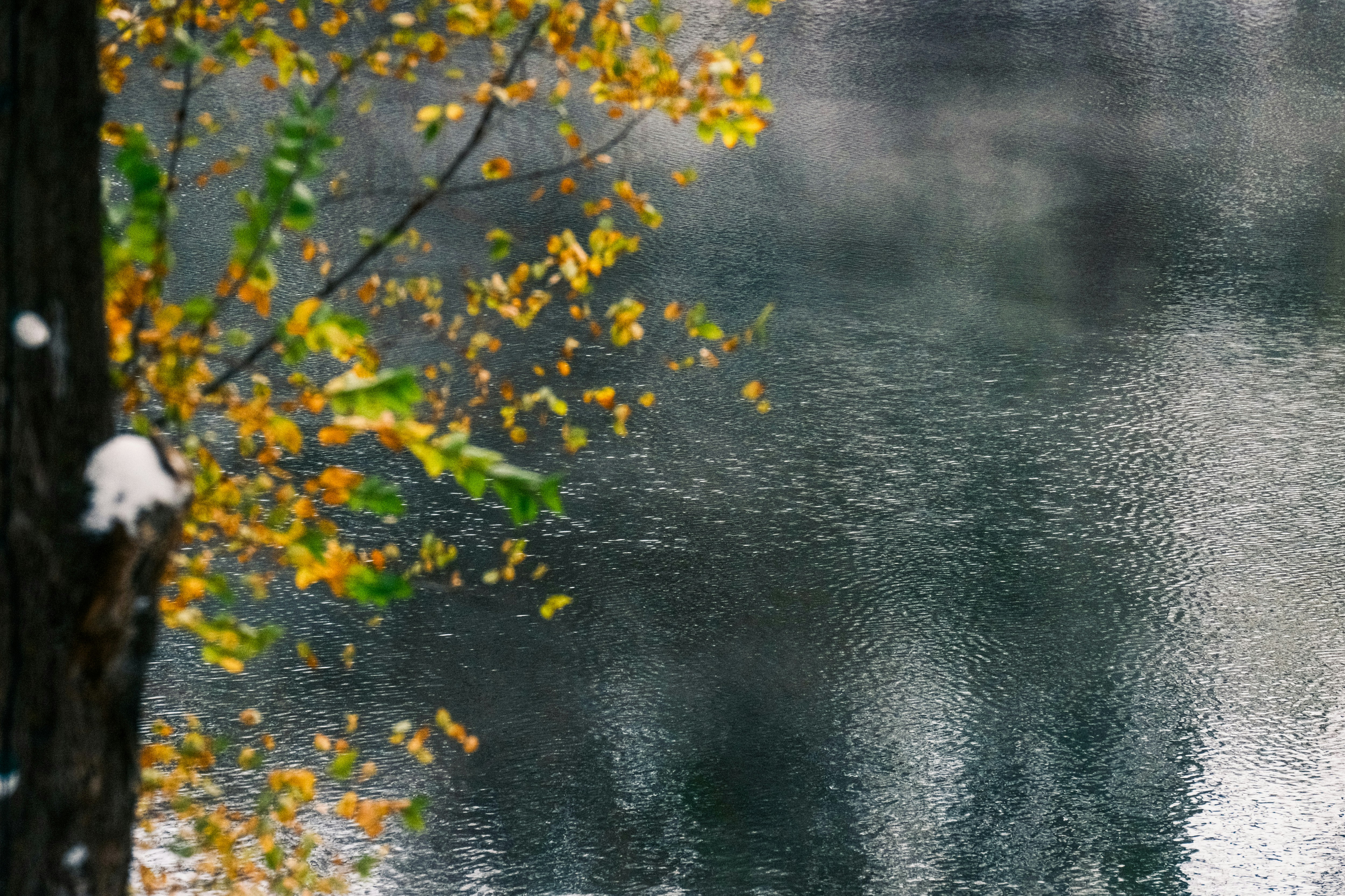 Photo by consoledotlog