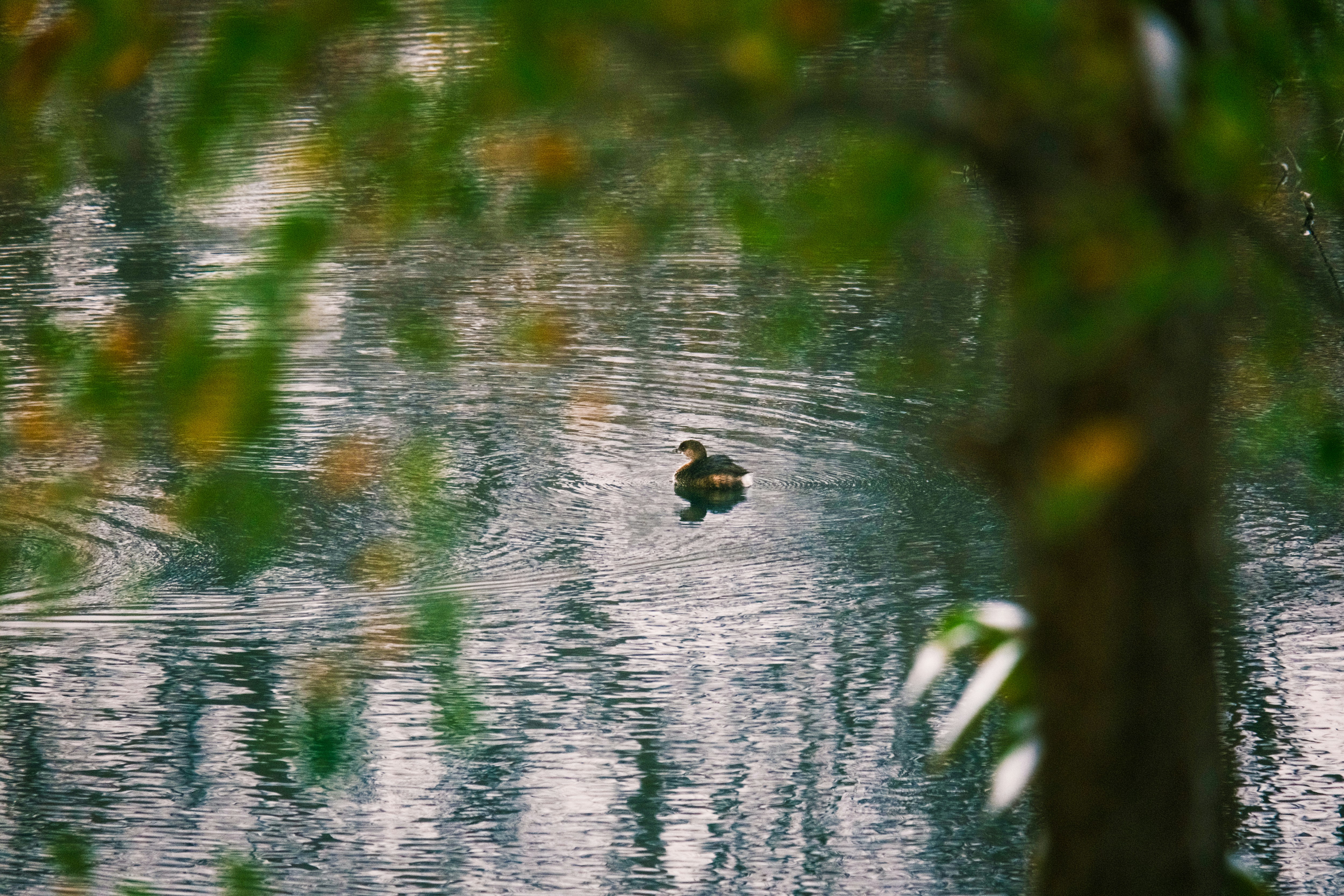 Photo by consoledotlog