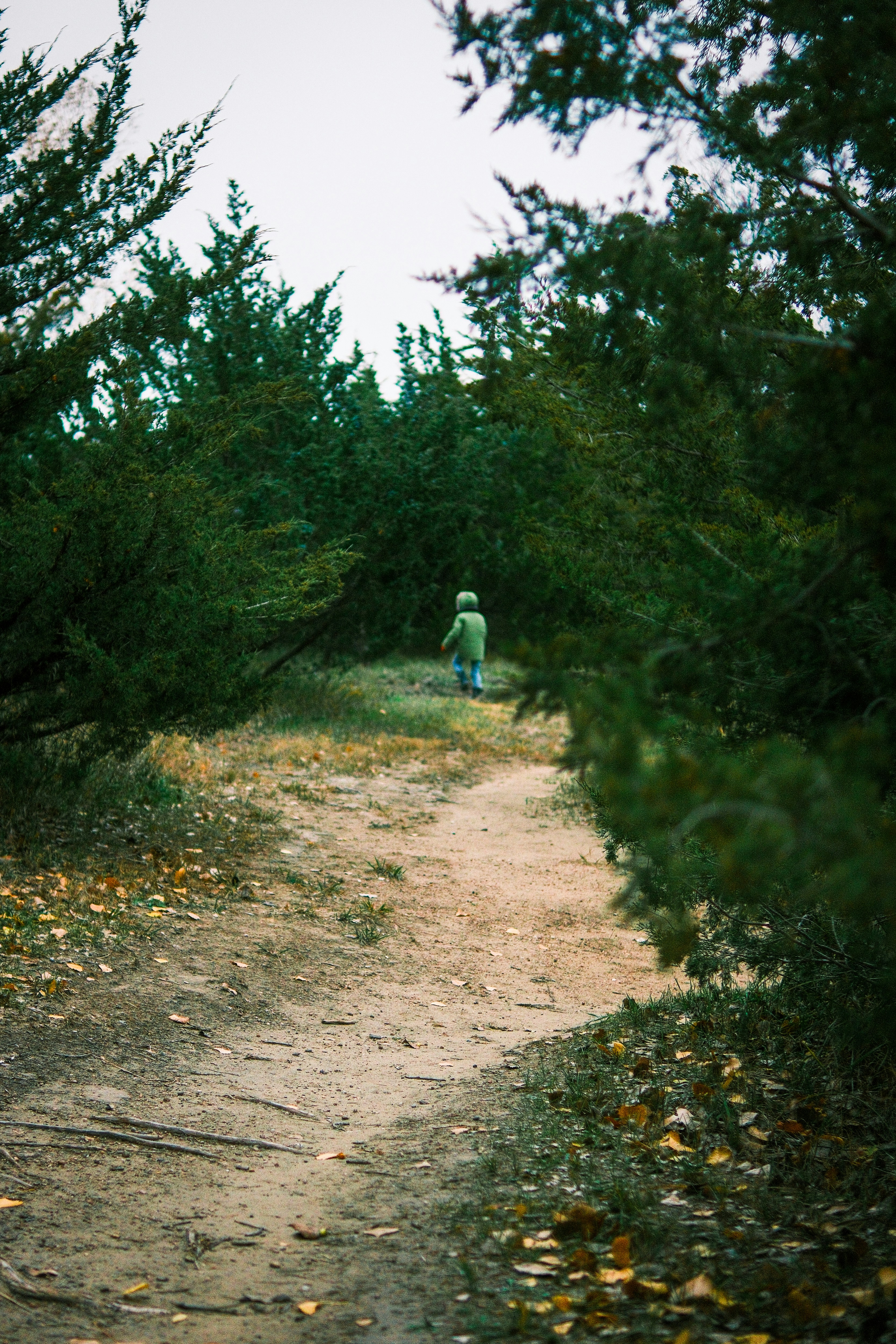 Photo by consoledotlog