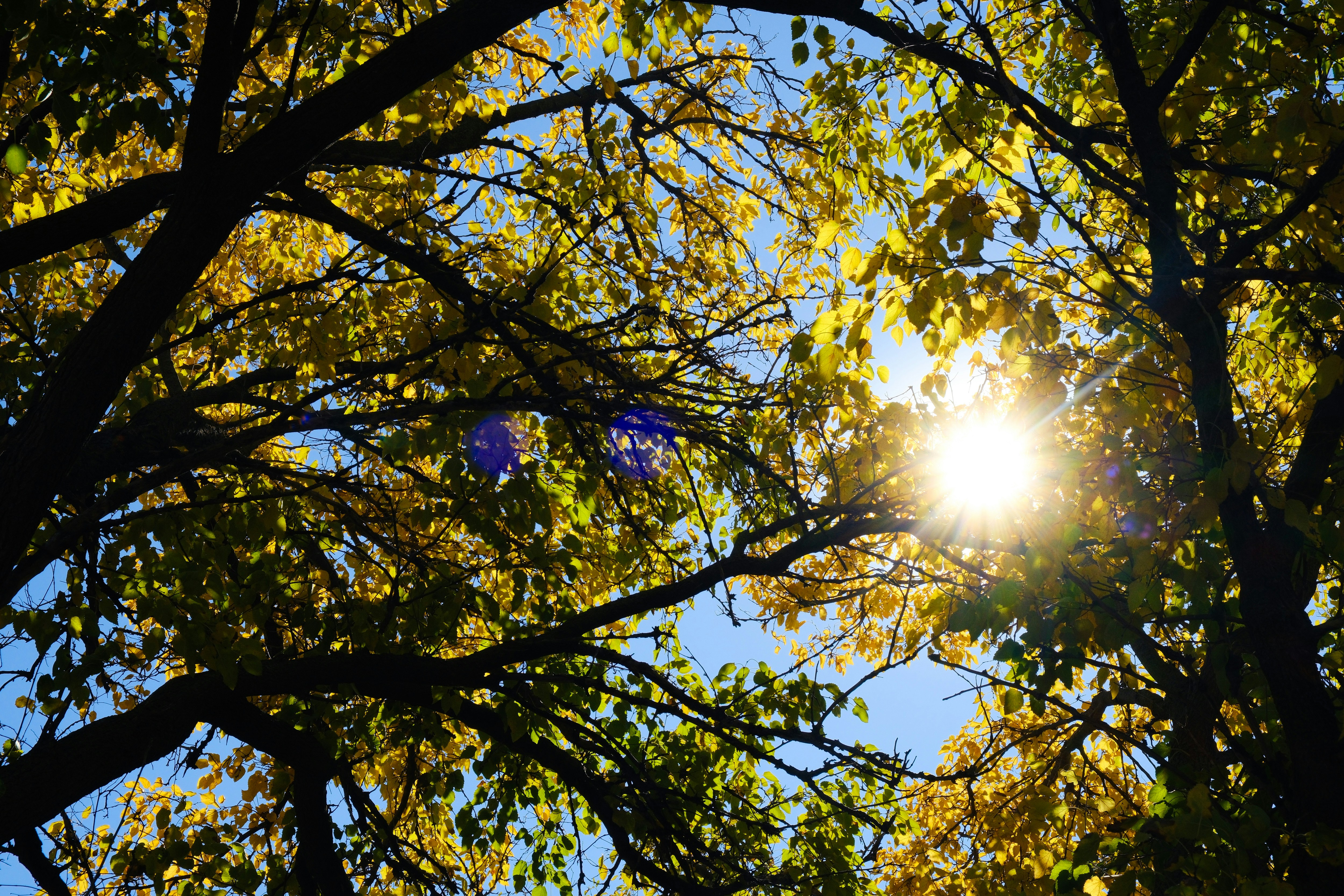 Photo by consoledotlog