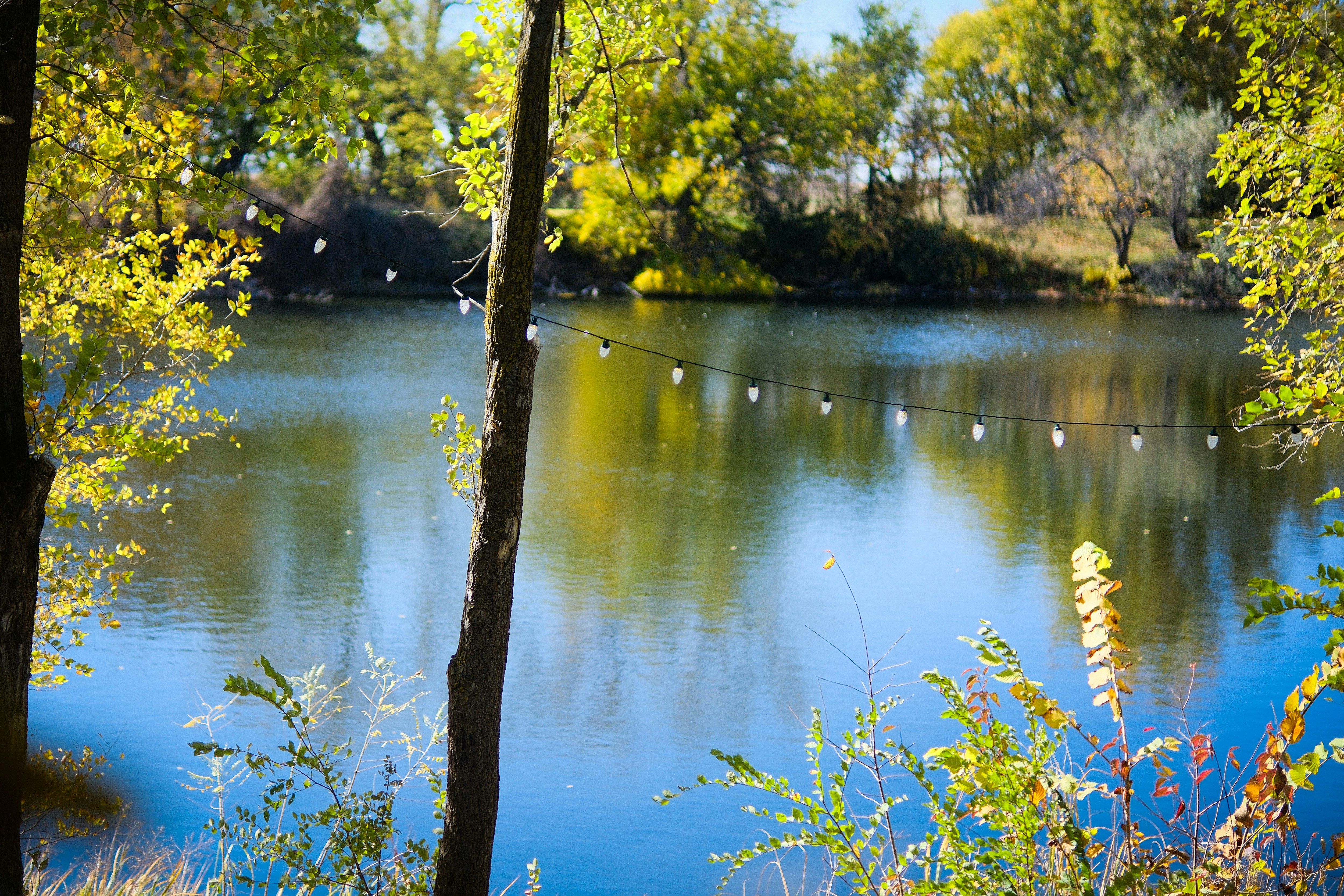 Photo by consoledotlog