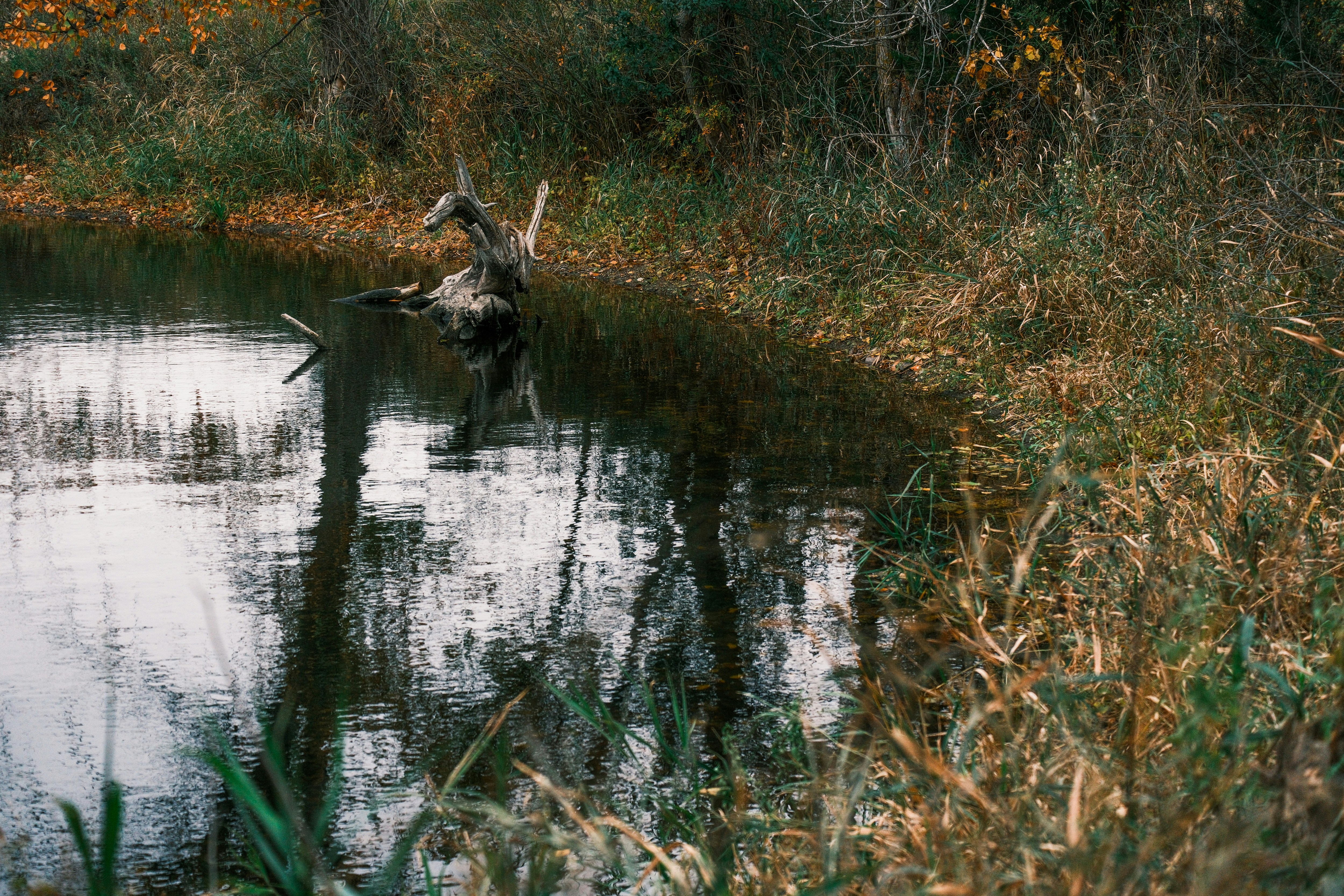 Photo by consoledotlog