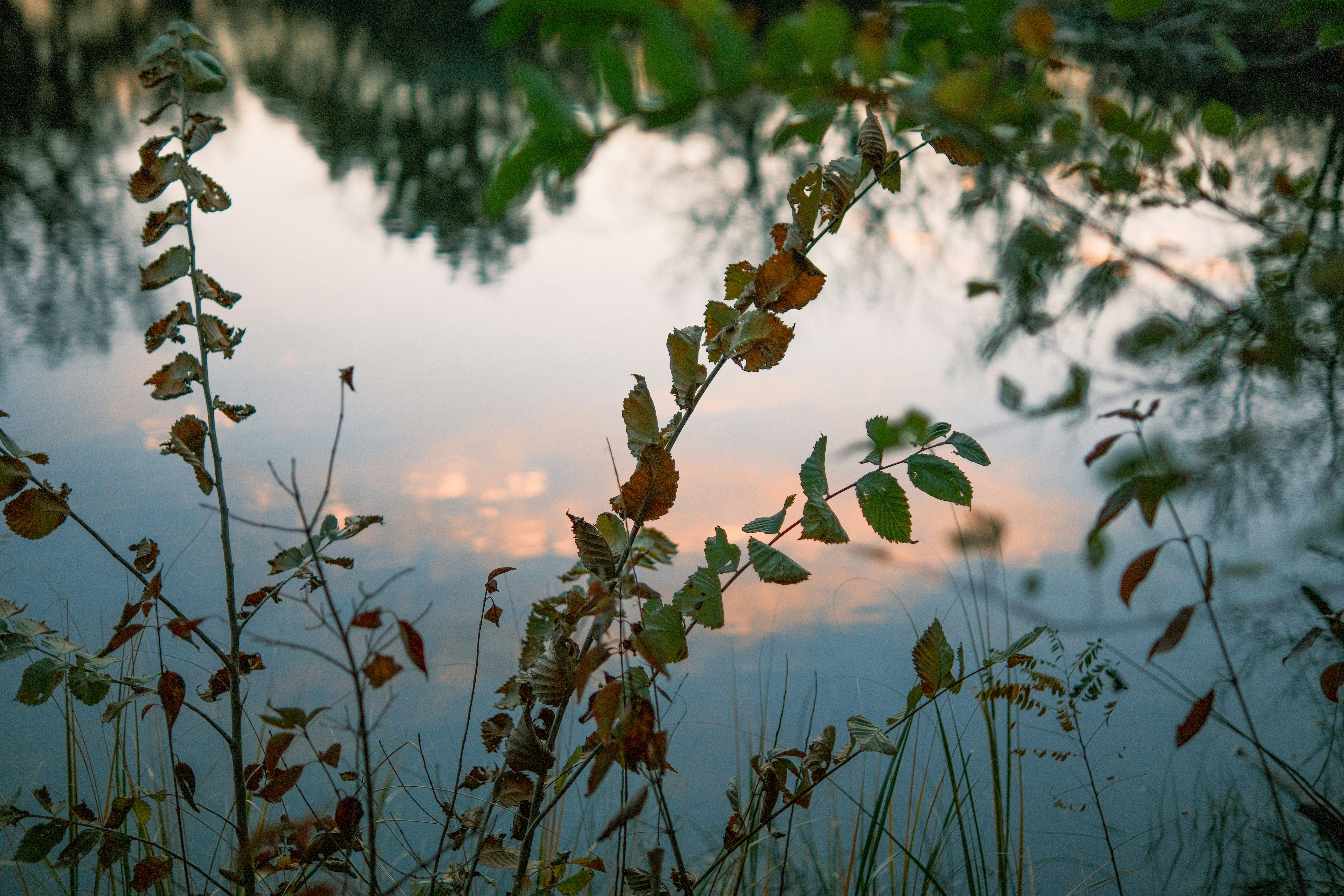 Photo by consoledotlog