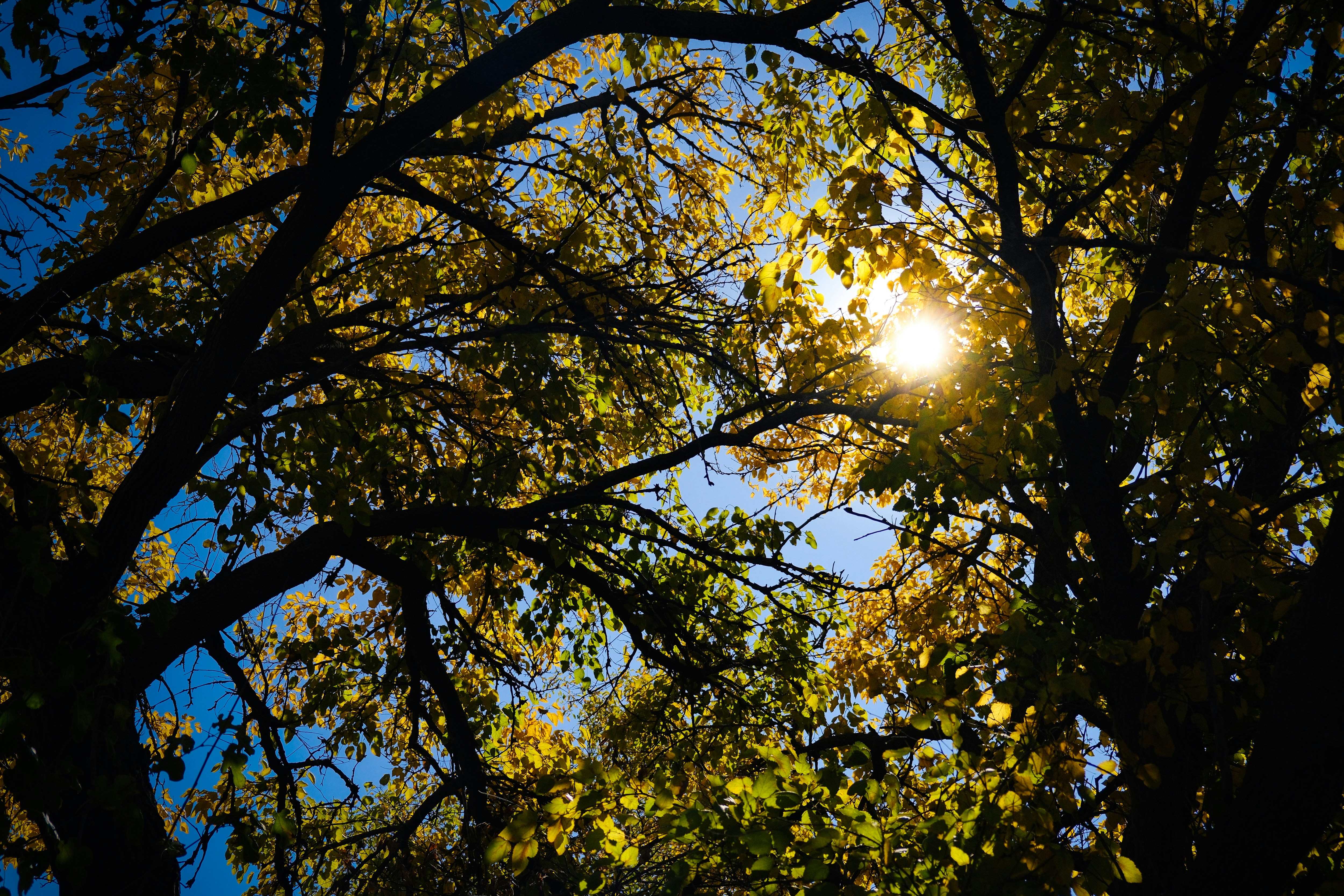 Photo by consoledotlog