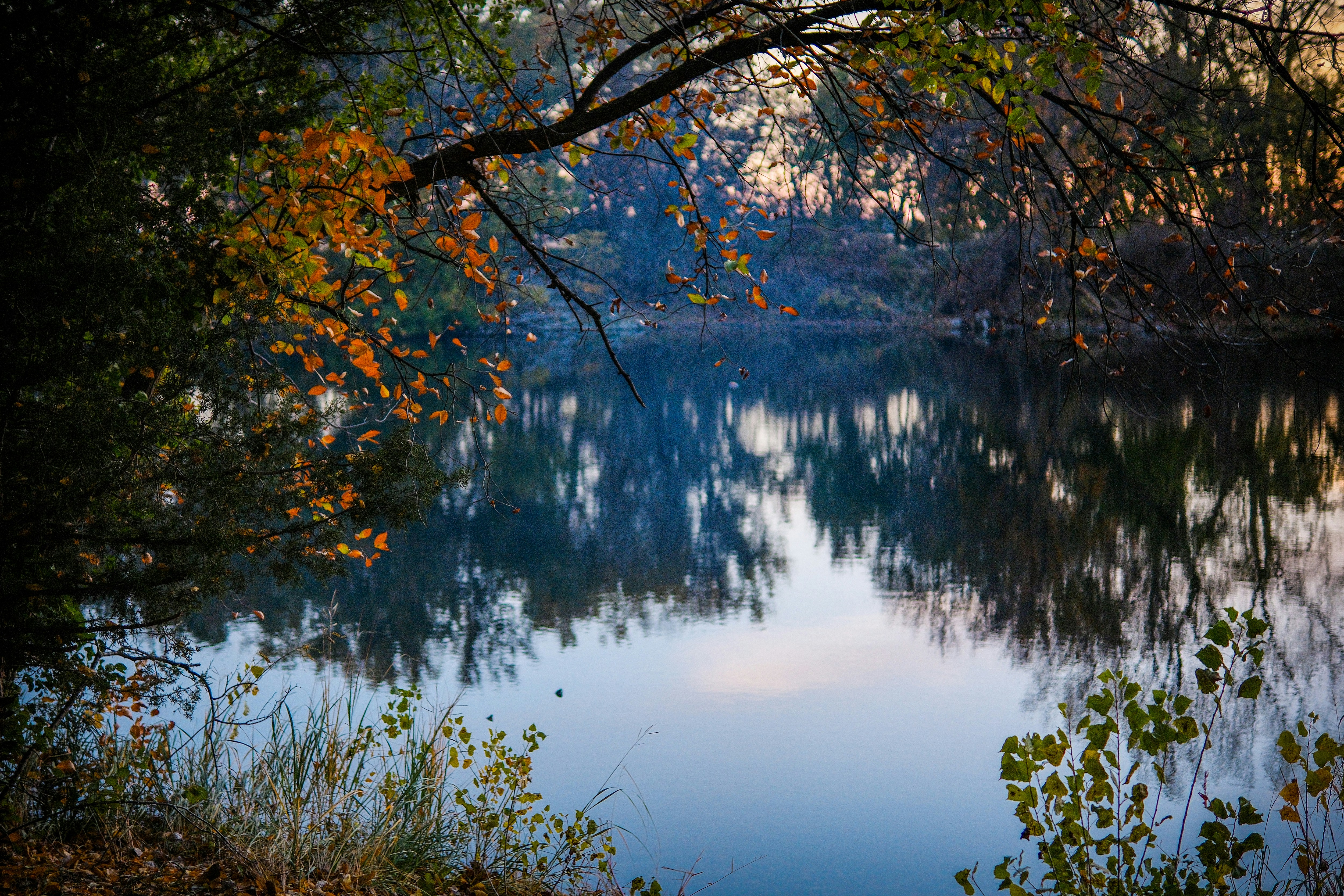 Photo by consoledotlog