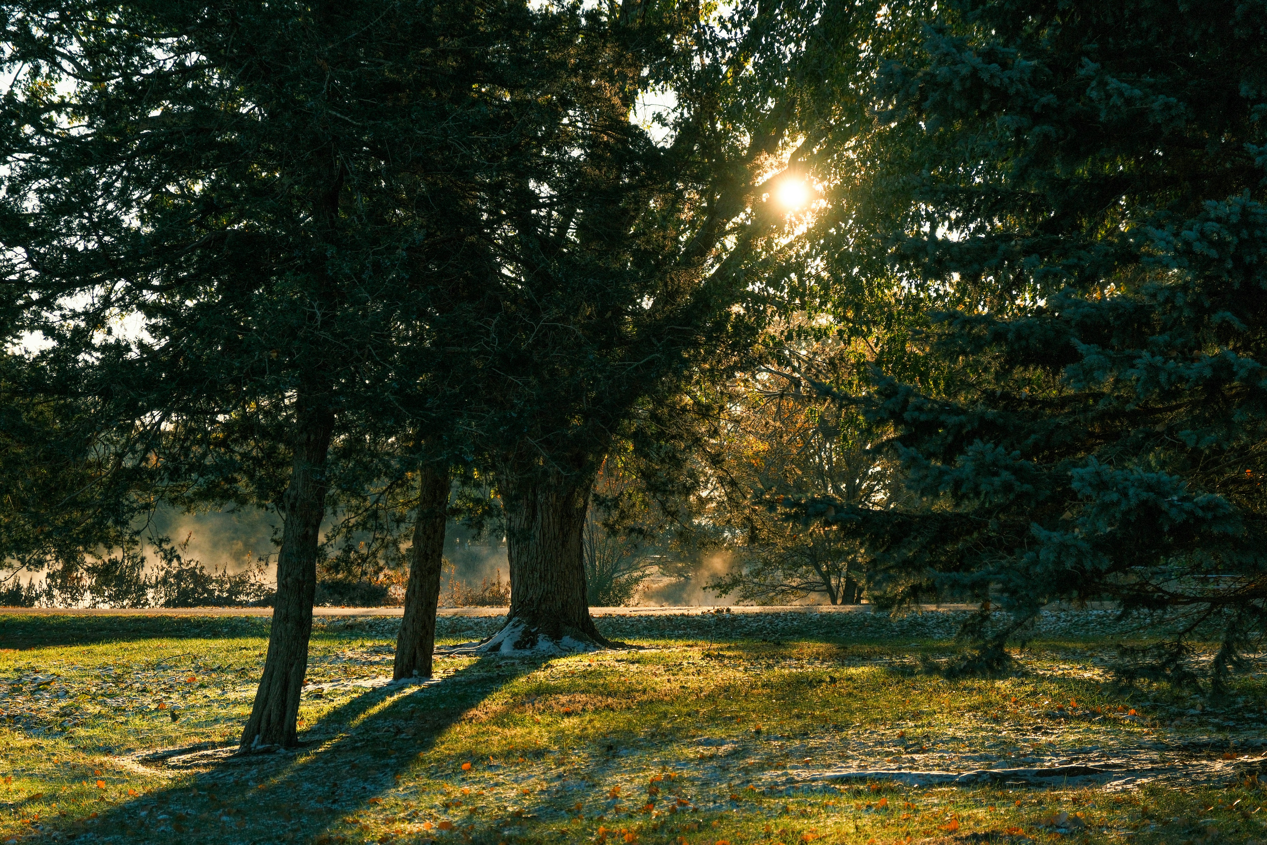 Photo by consoledotlog