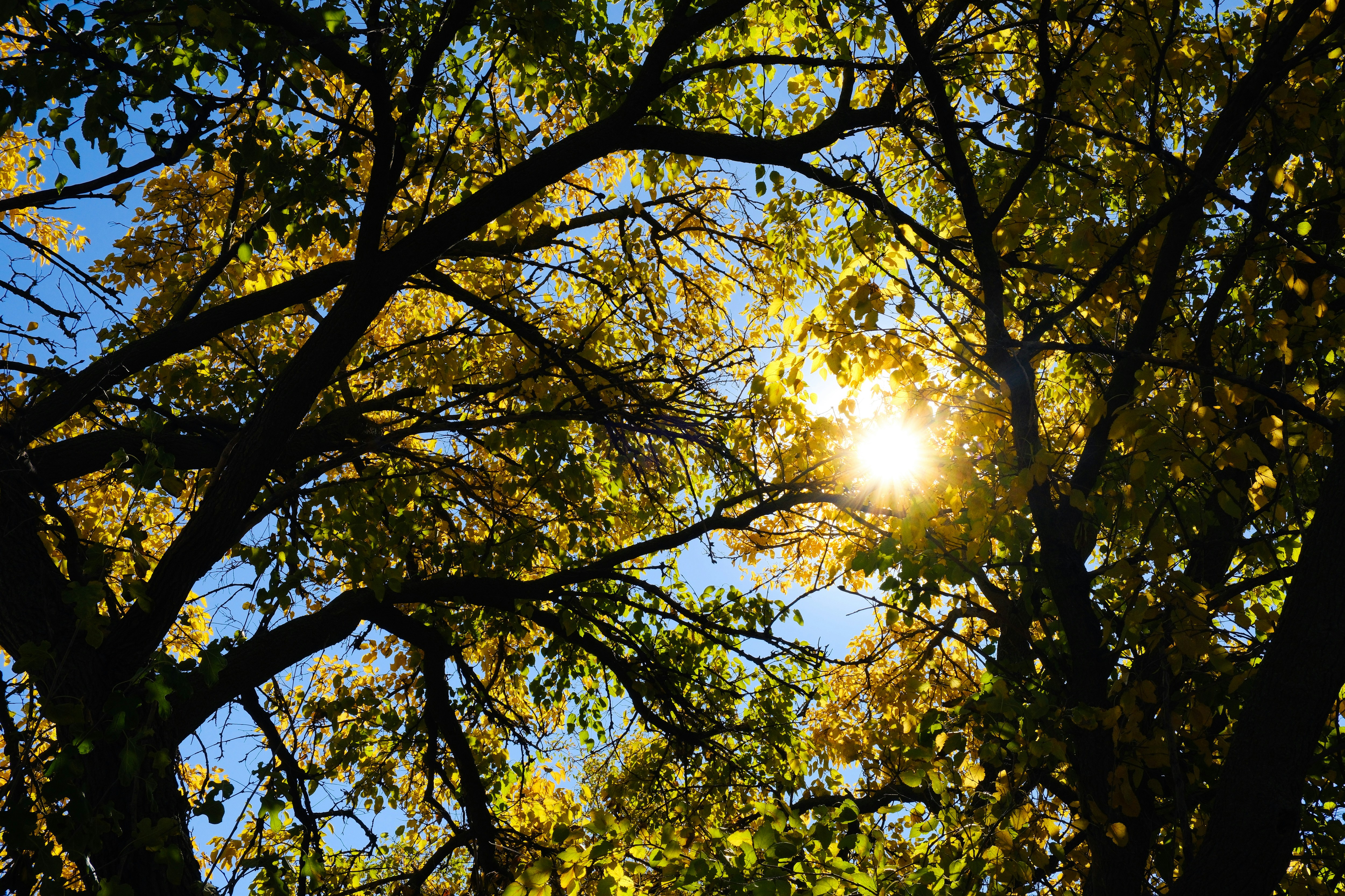 Photo by consoledotlog