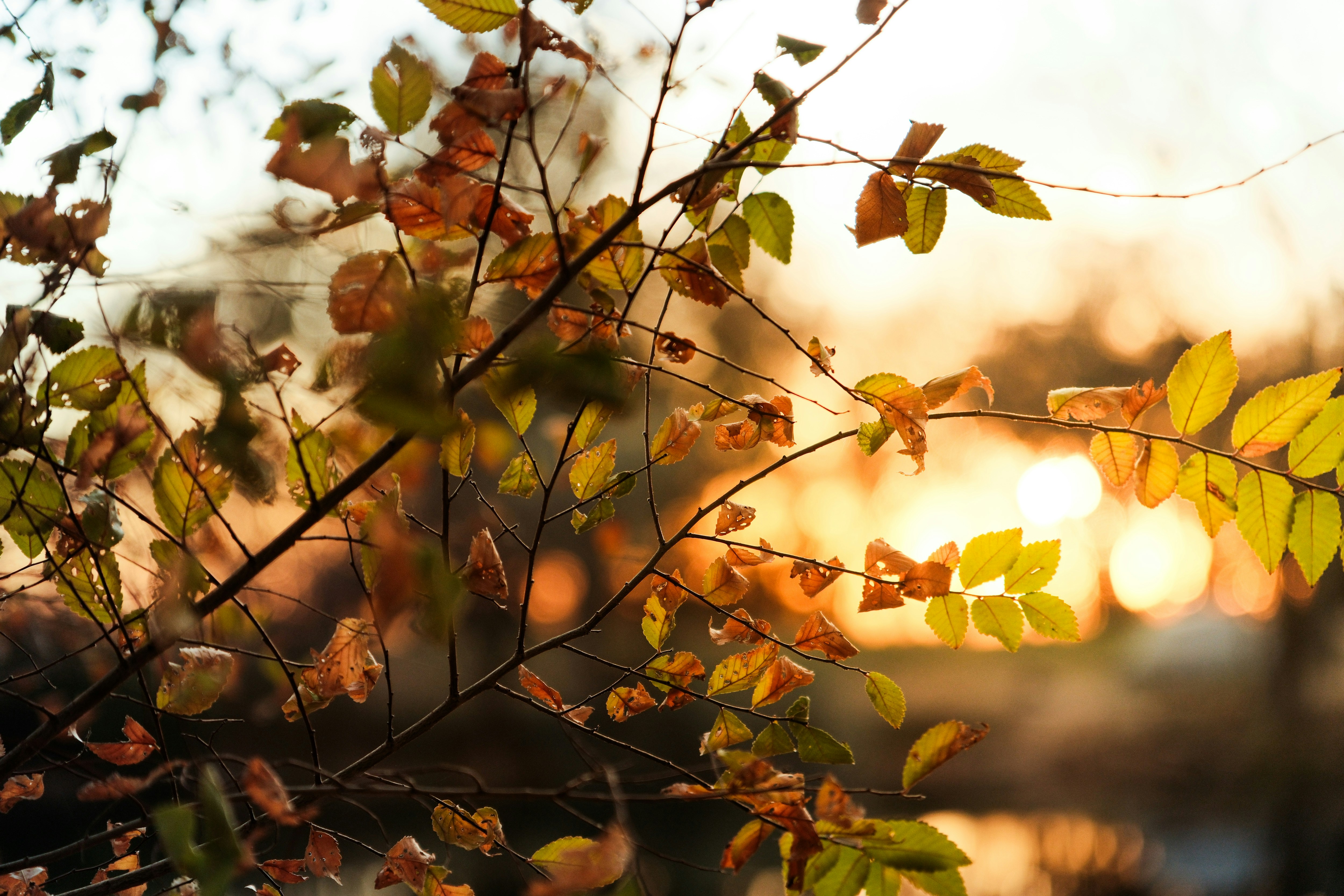 Photo by consoledotlog