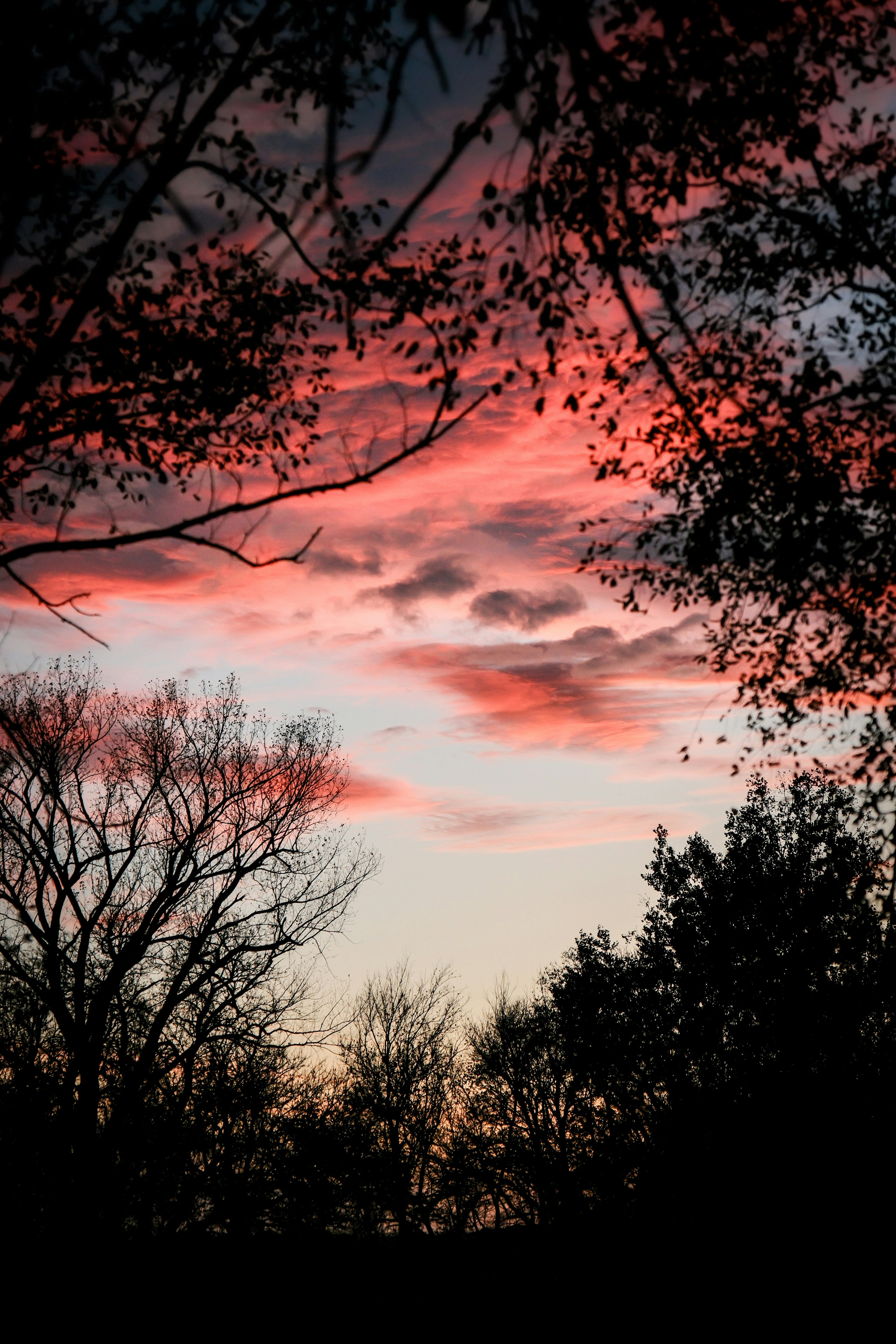 Photo by consoledotlog