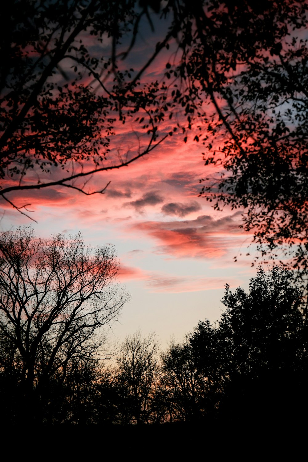 a red sky with clouds and trees in the foreground