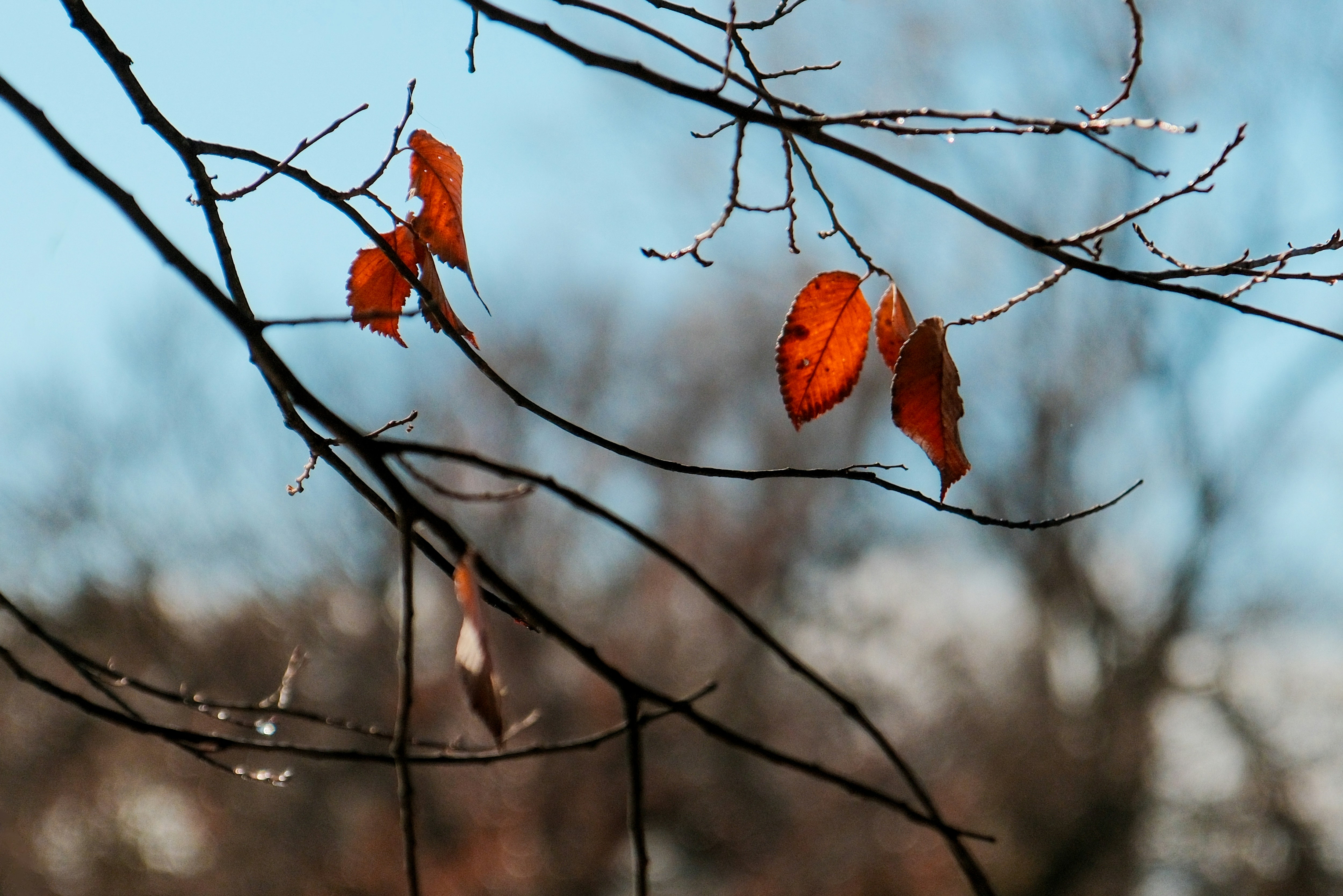 Photo by consoledotlog