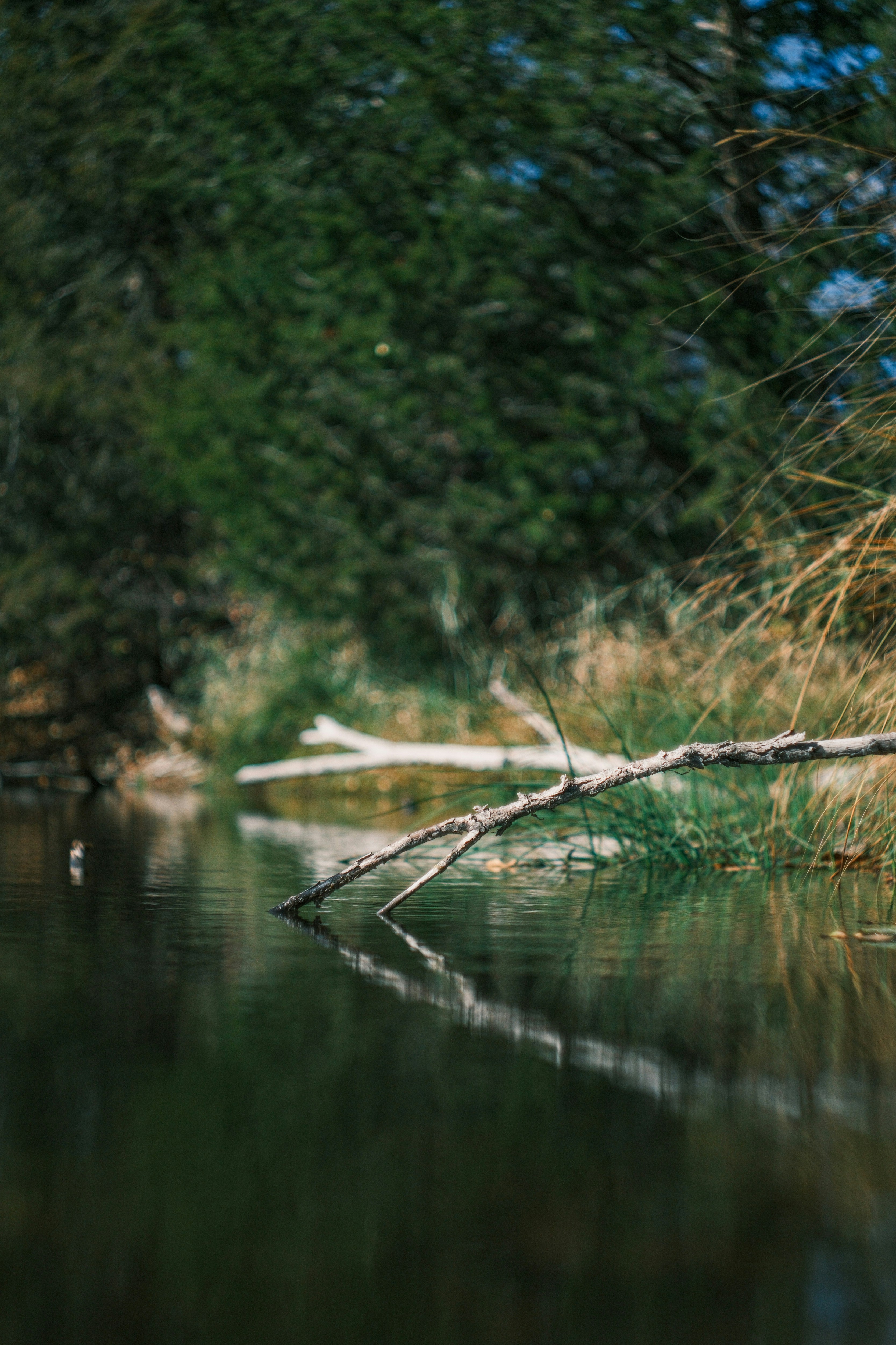 Photo by consoledotlog