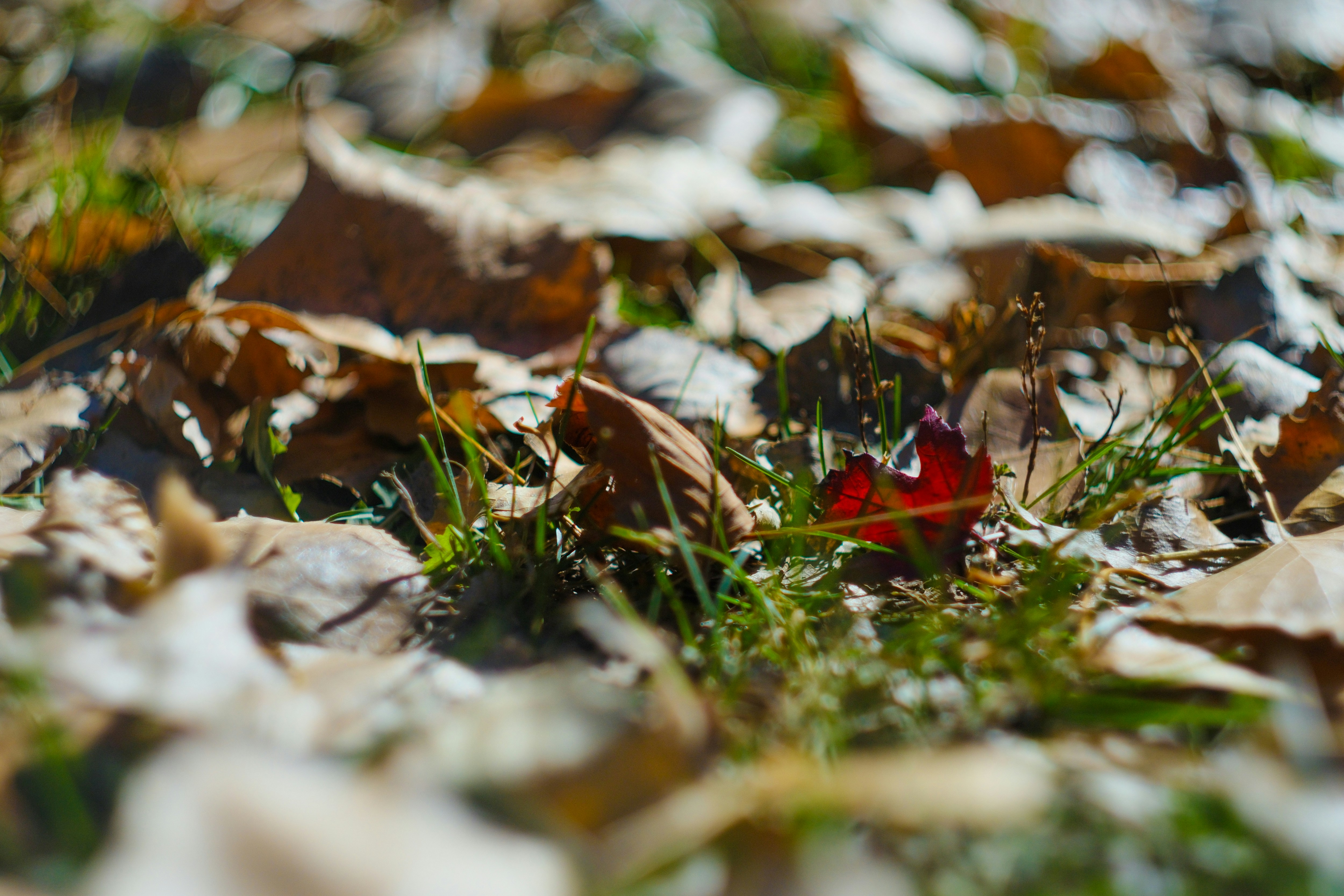 Photo by consoledotlog