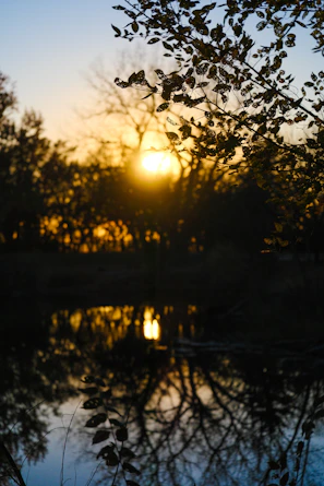 Sunset casting warm terracotta light over quiet natural retreat setting