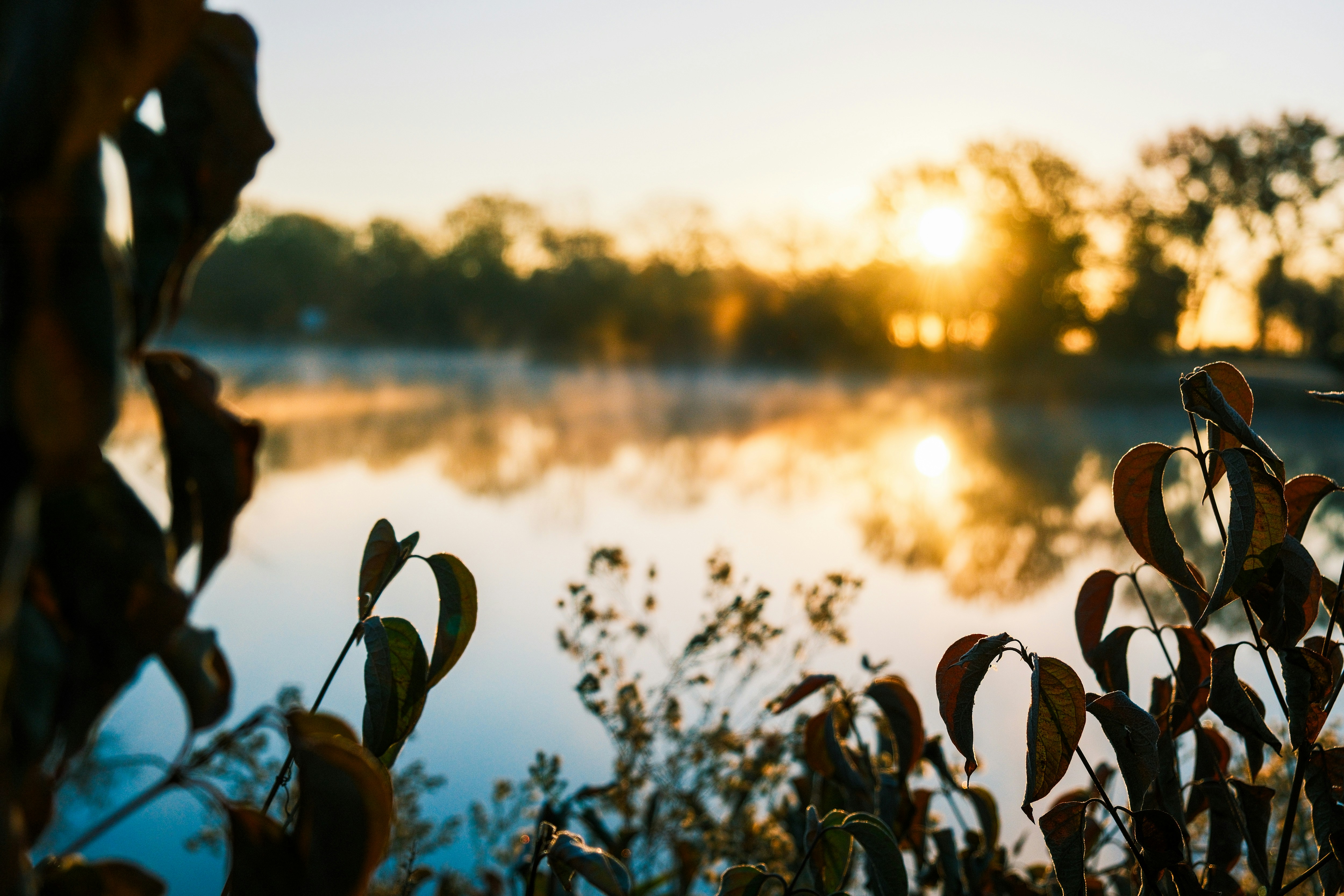 Photo by consoledotlog