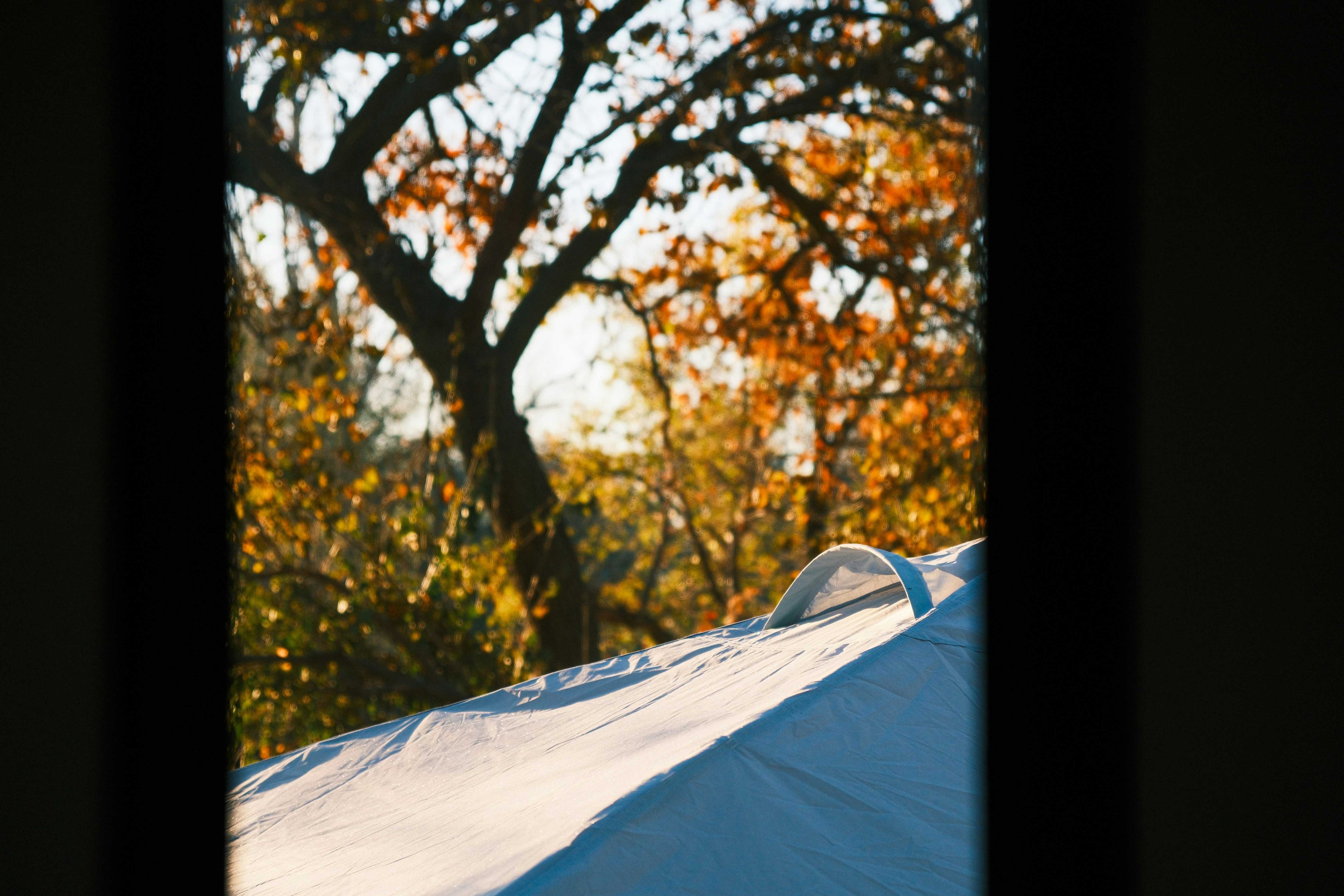 Photo by consoledotlog