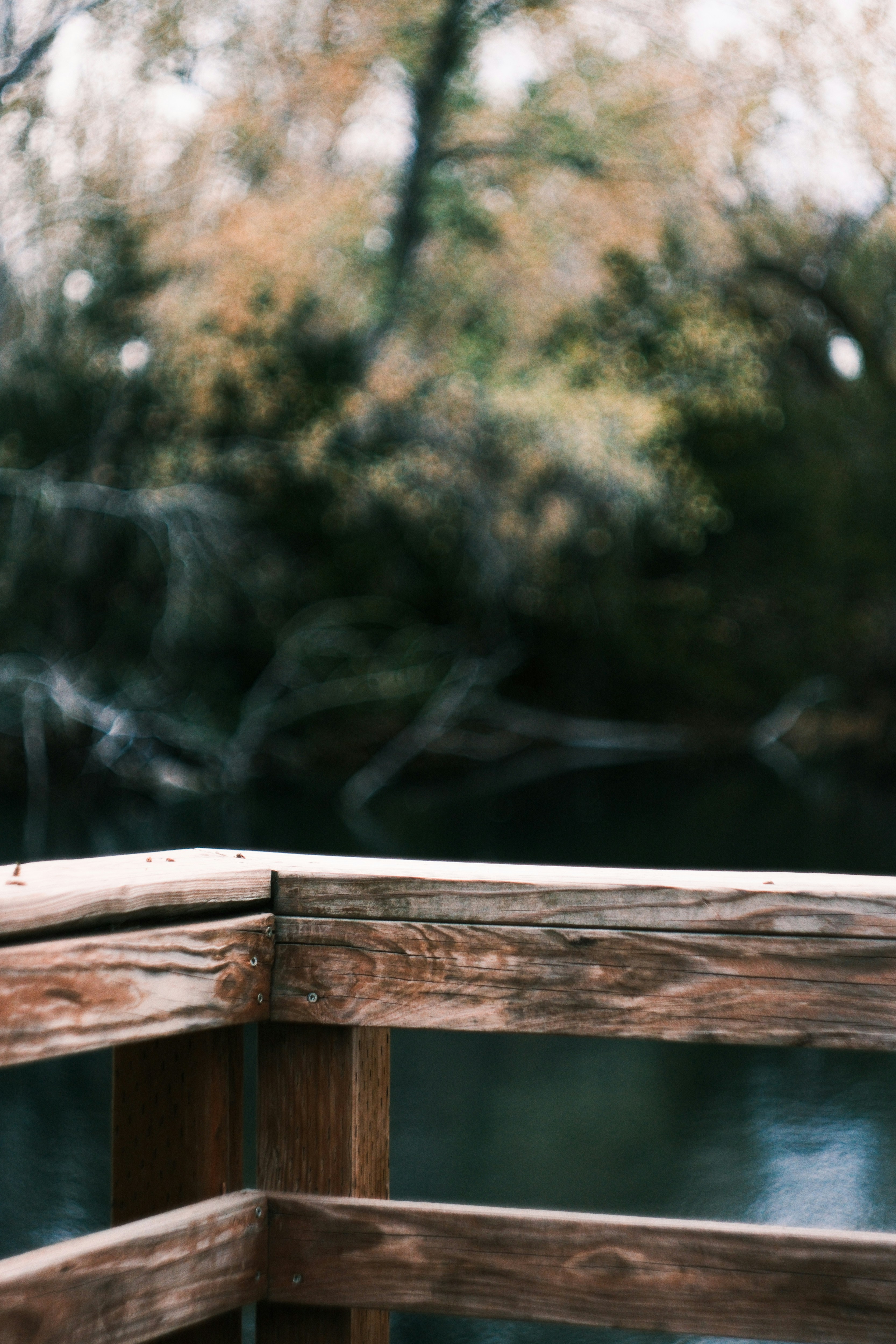 Photo by consoledotlog