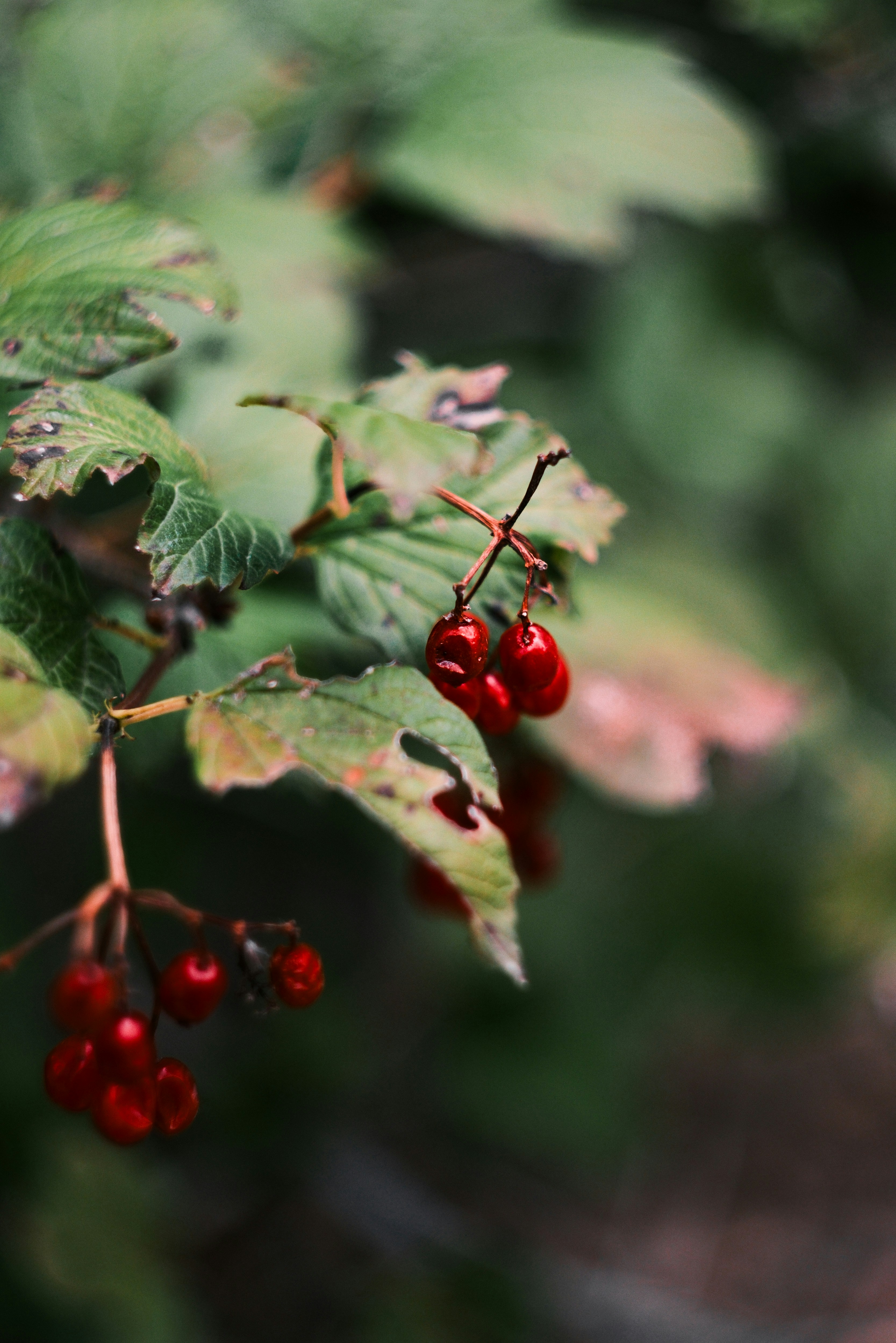 Photo by consoledotlog