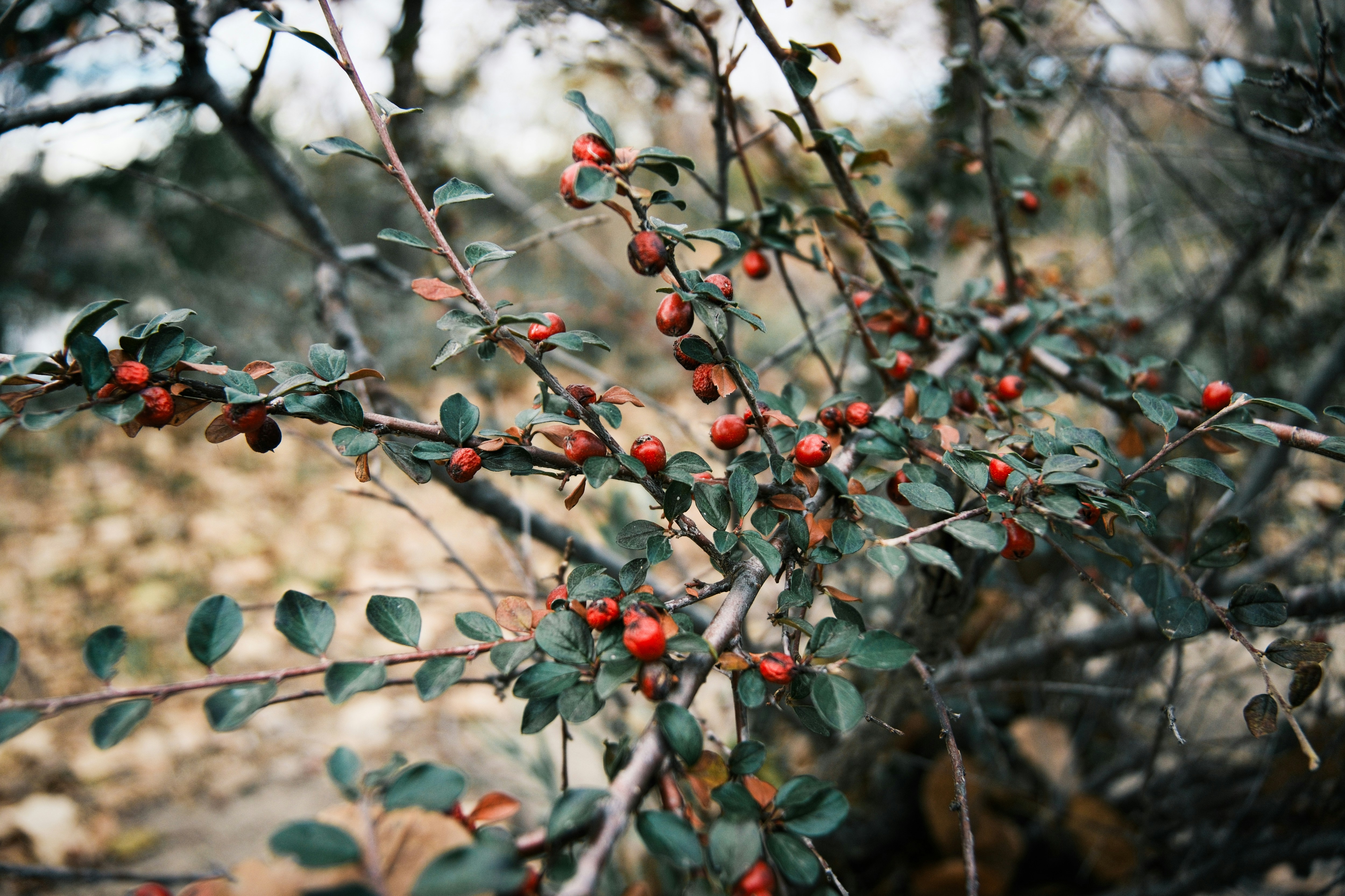 Photo by consoledotlog