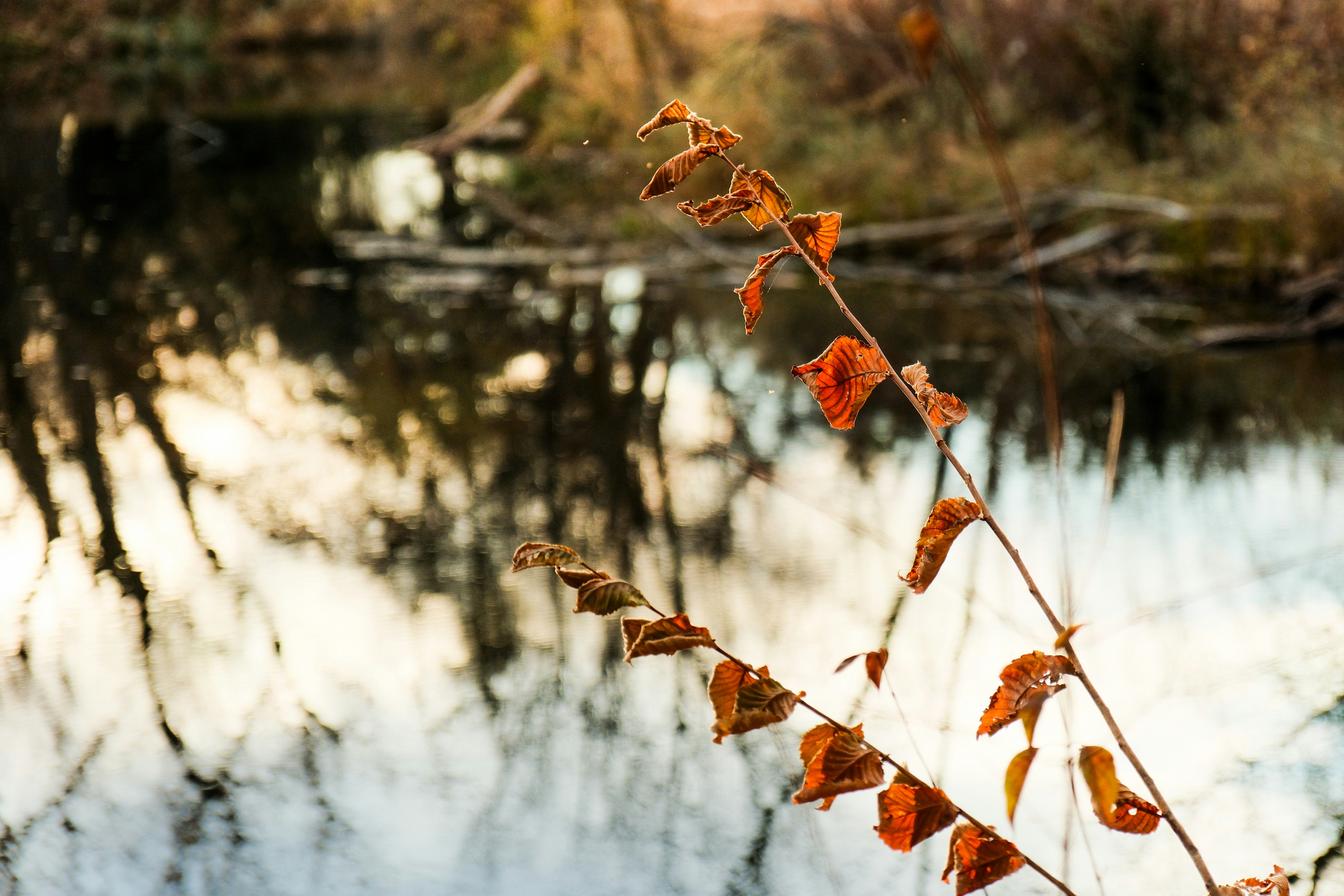 Photo by consoledotlog