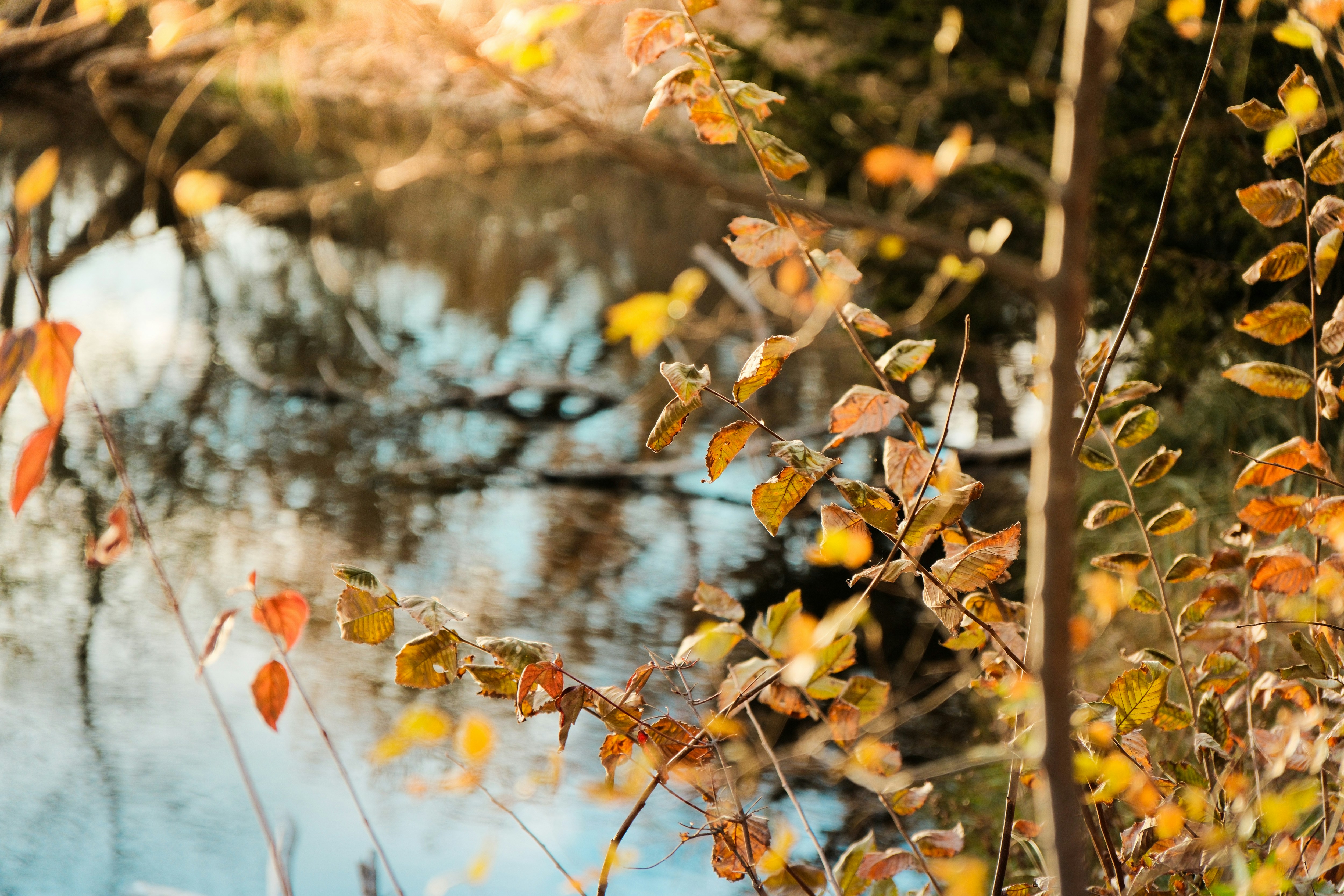 Photo by consoledotlog