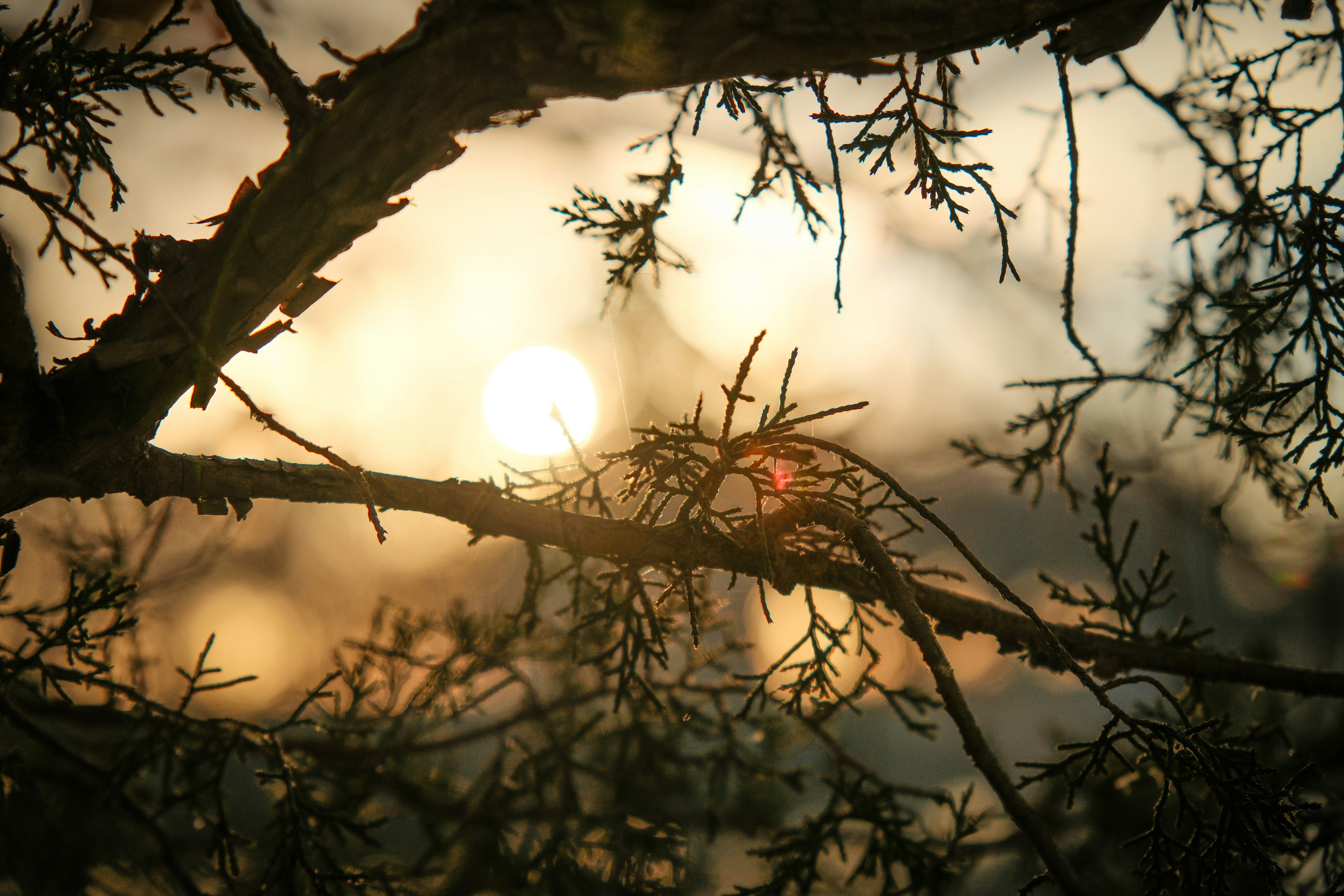 Photo by consoledotlog