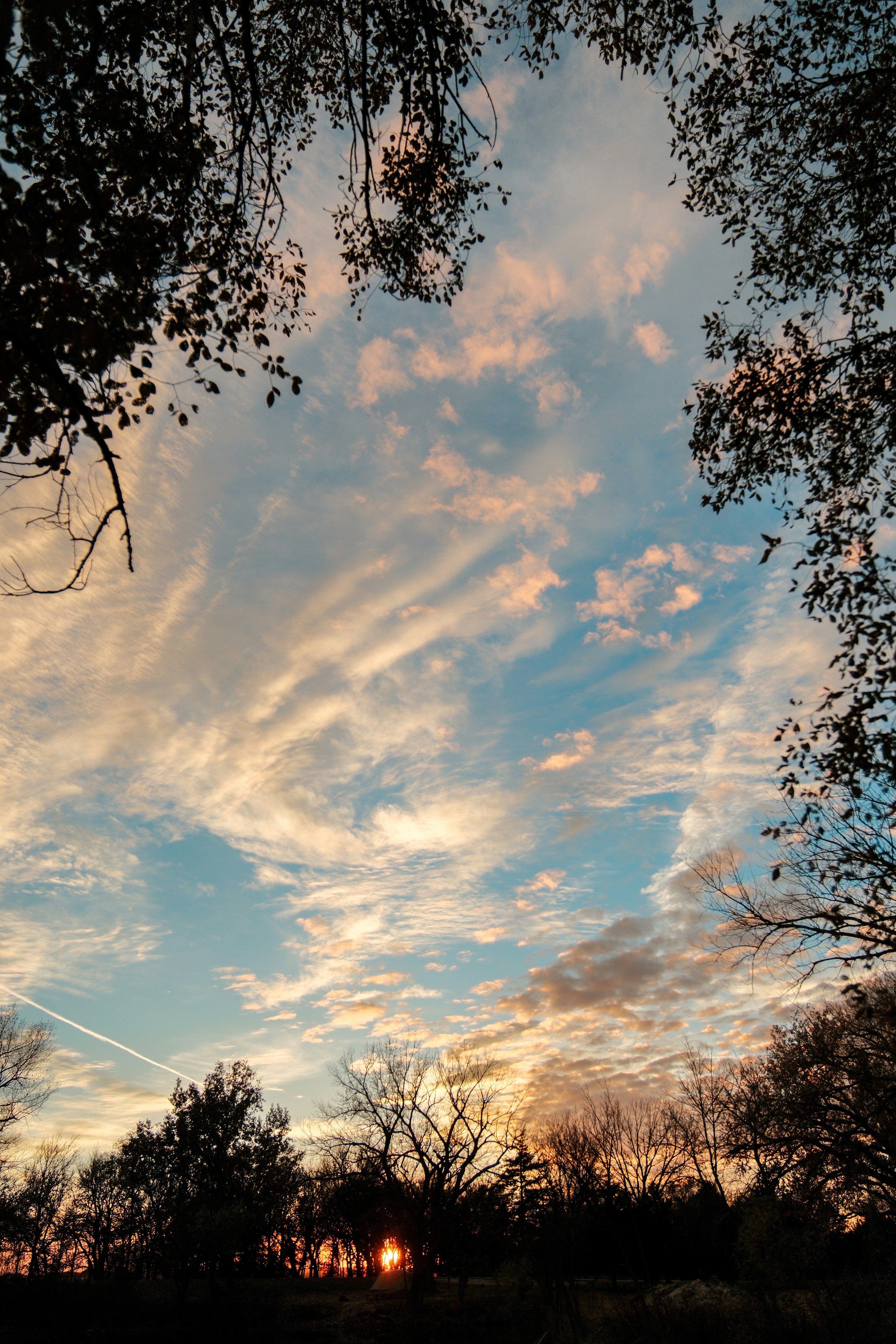 Photo by consoledotlog